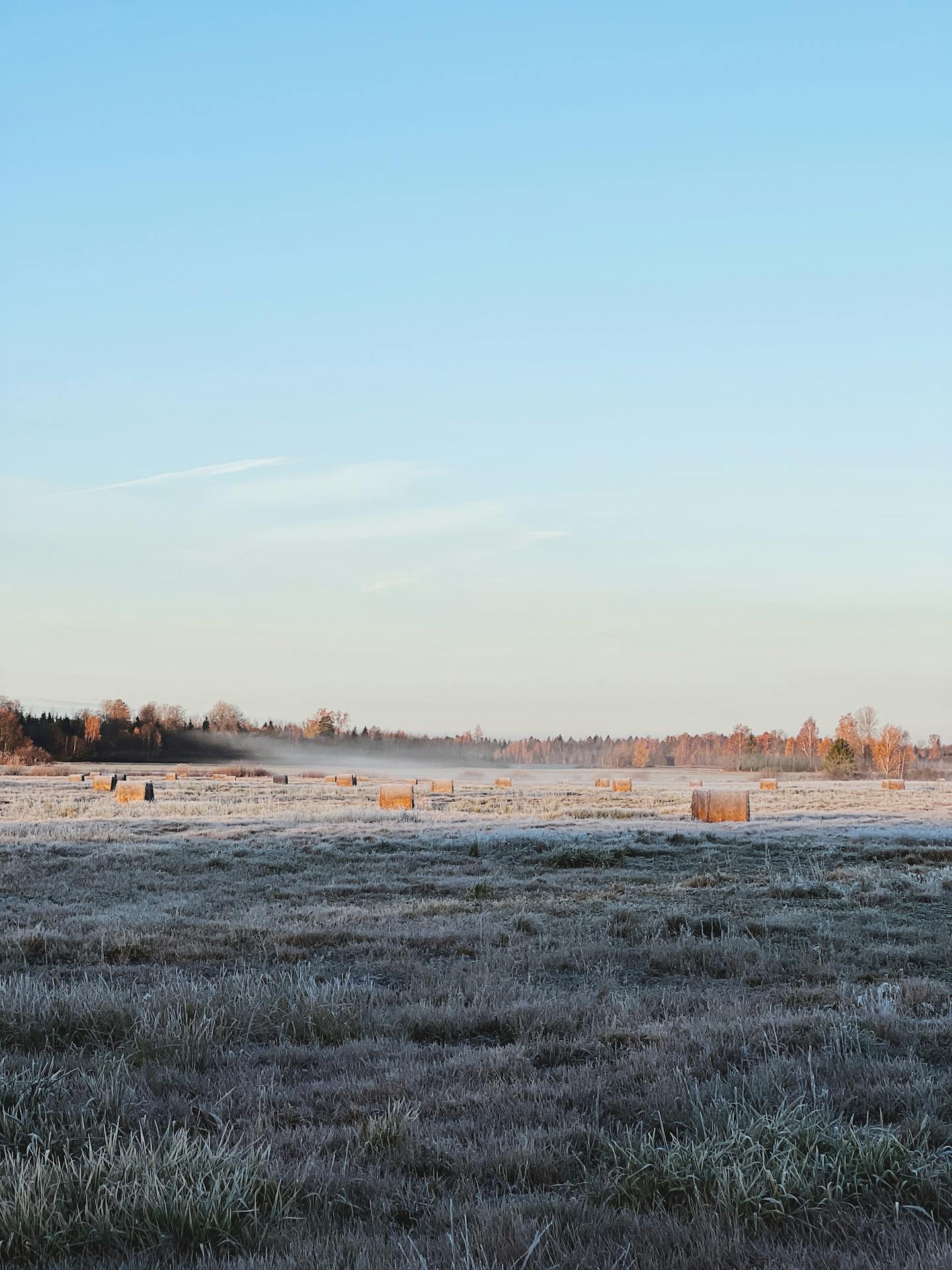 Frosty Morning Hay Field