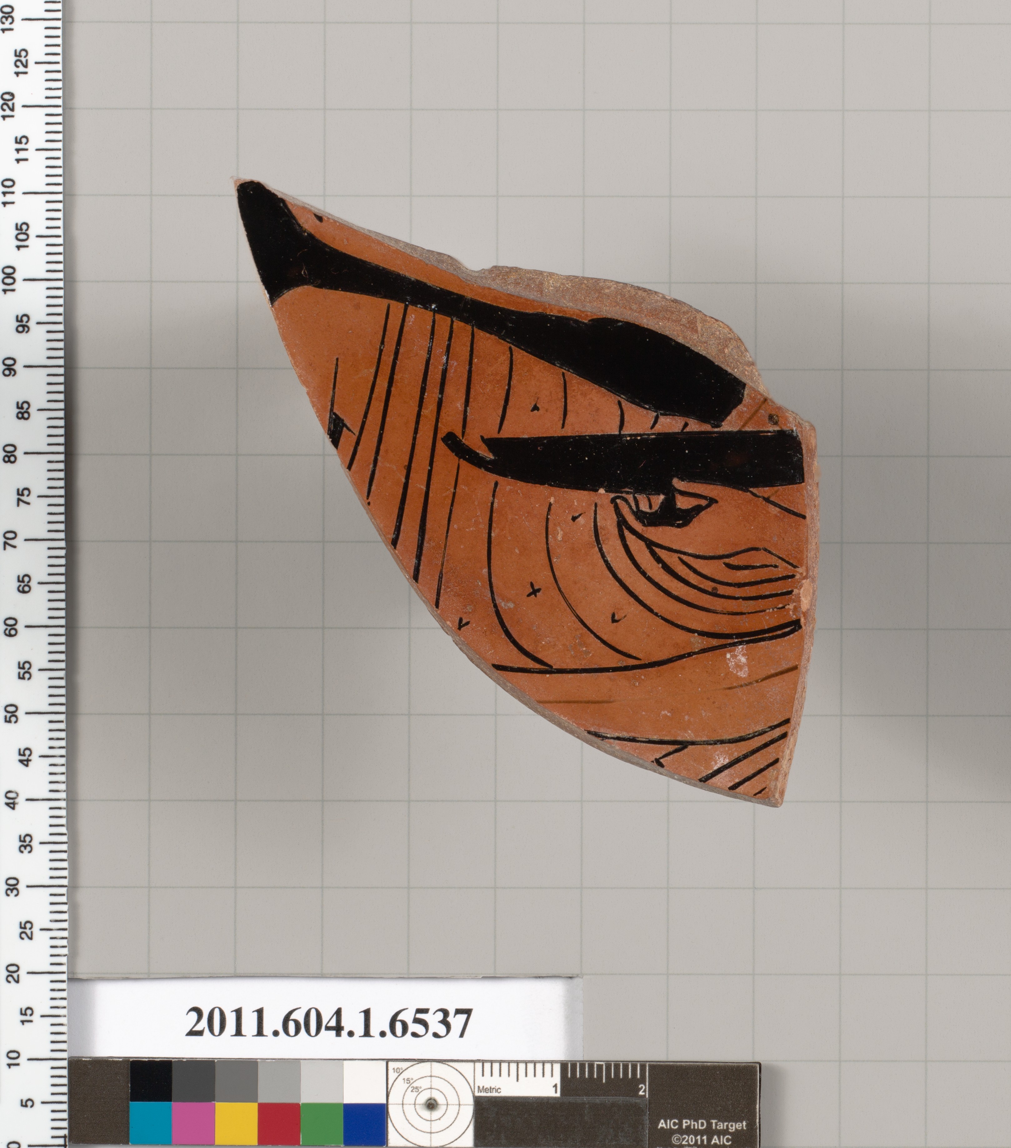 Painted Ancient Pottery Fragment