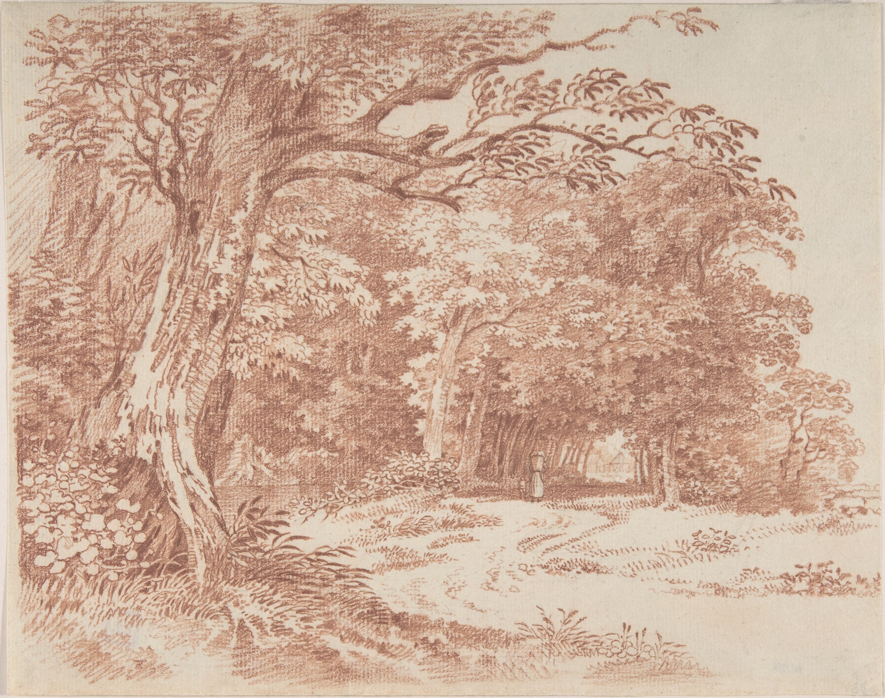 Forest Path Landscape Sketch
