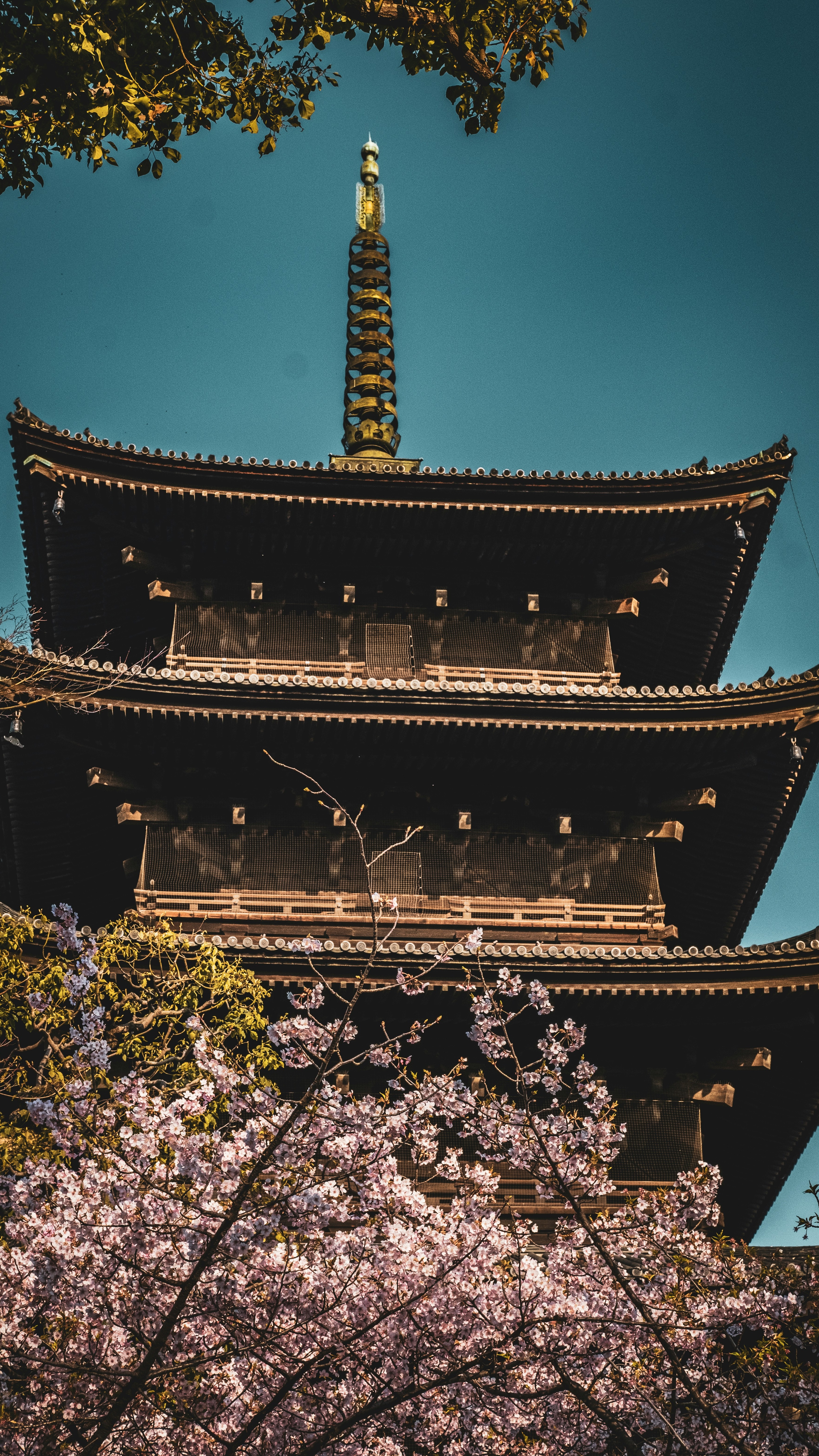 Wallpapers