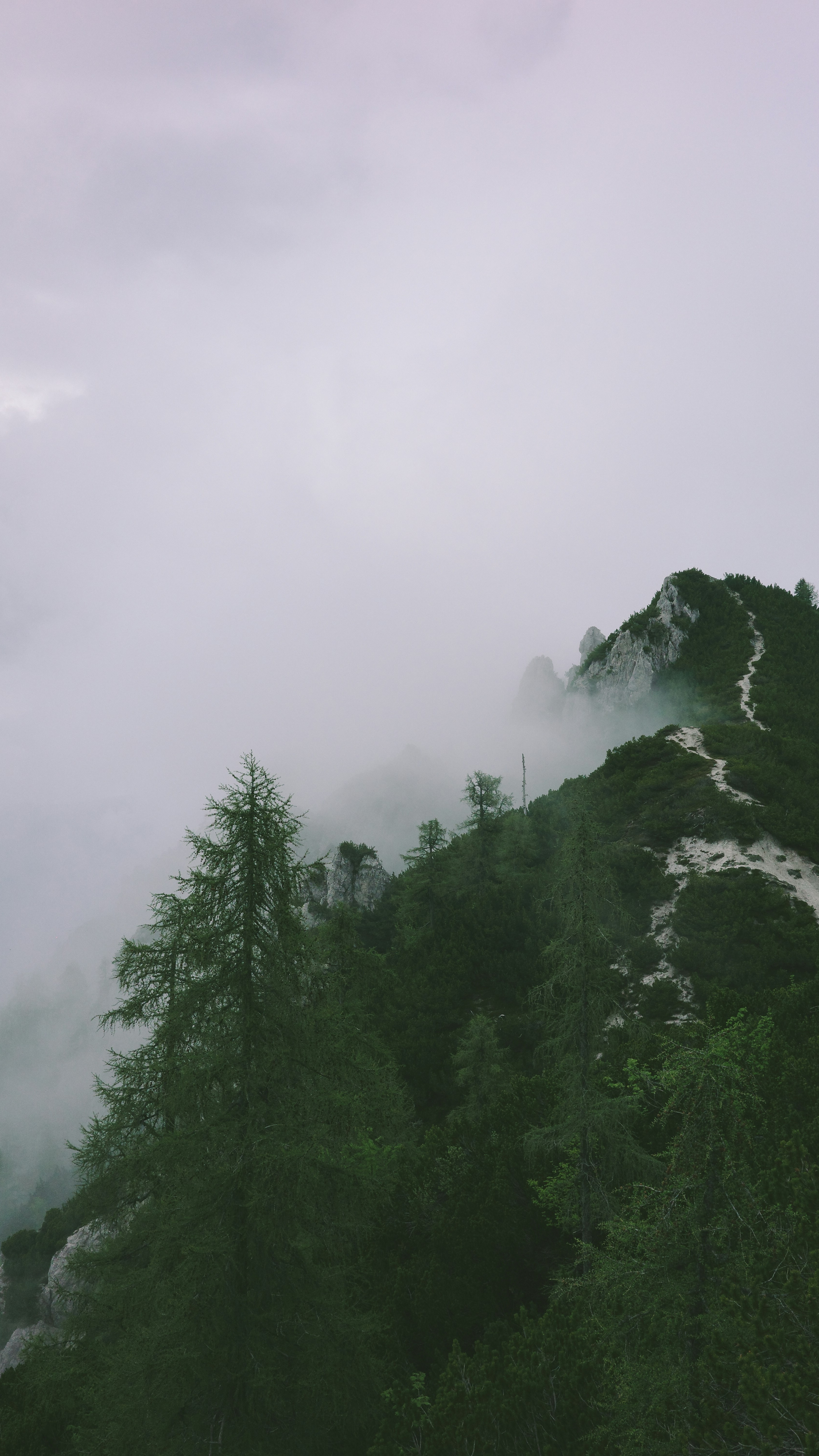 Landscapes