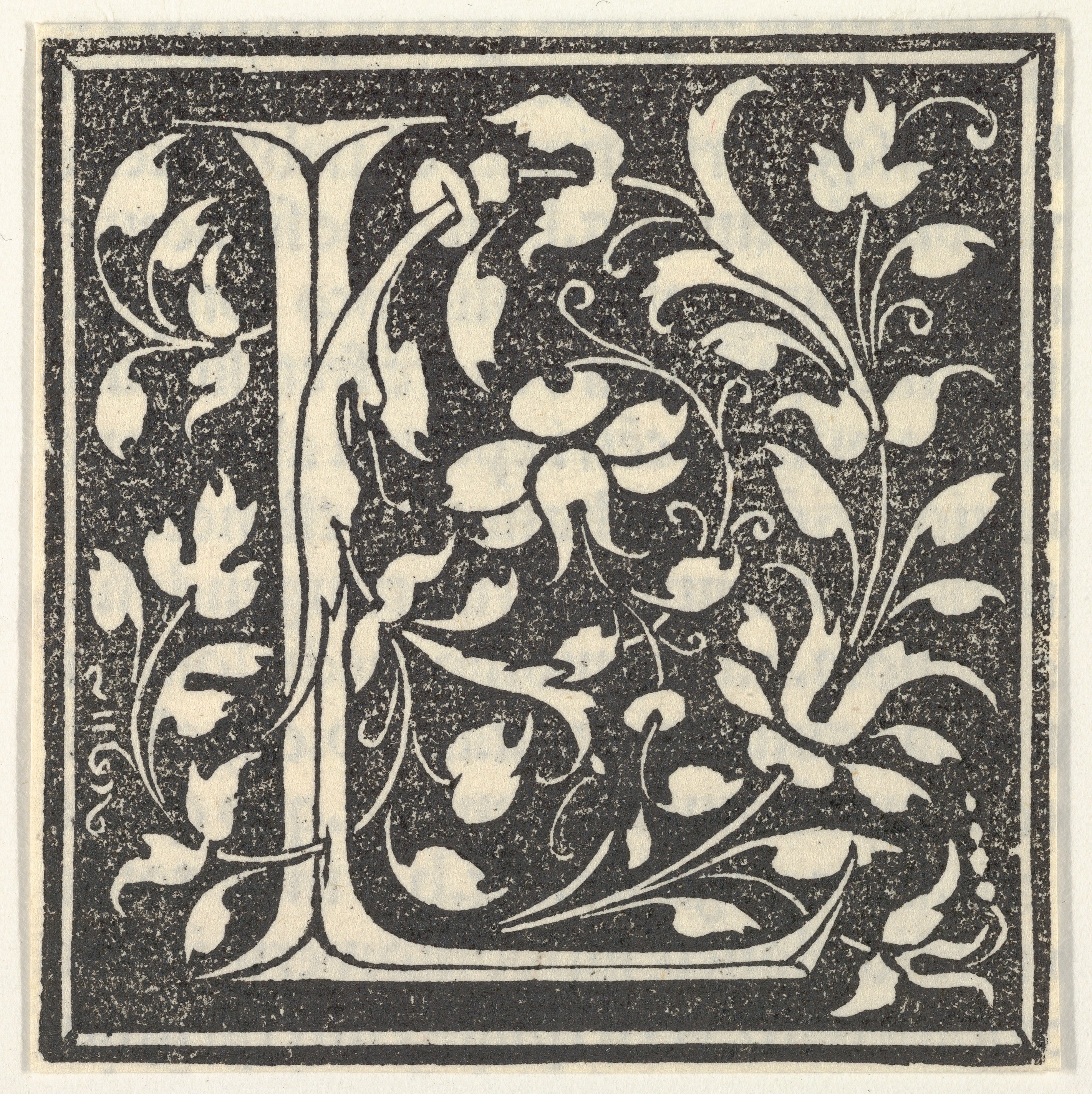 Ornamental Woodcut Initial Letter A