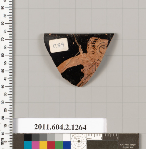 Ancient Pottery Fragment