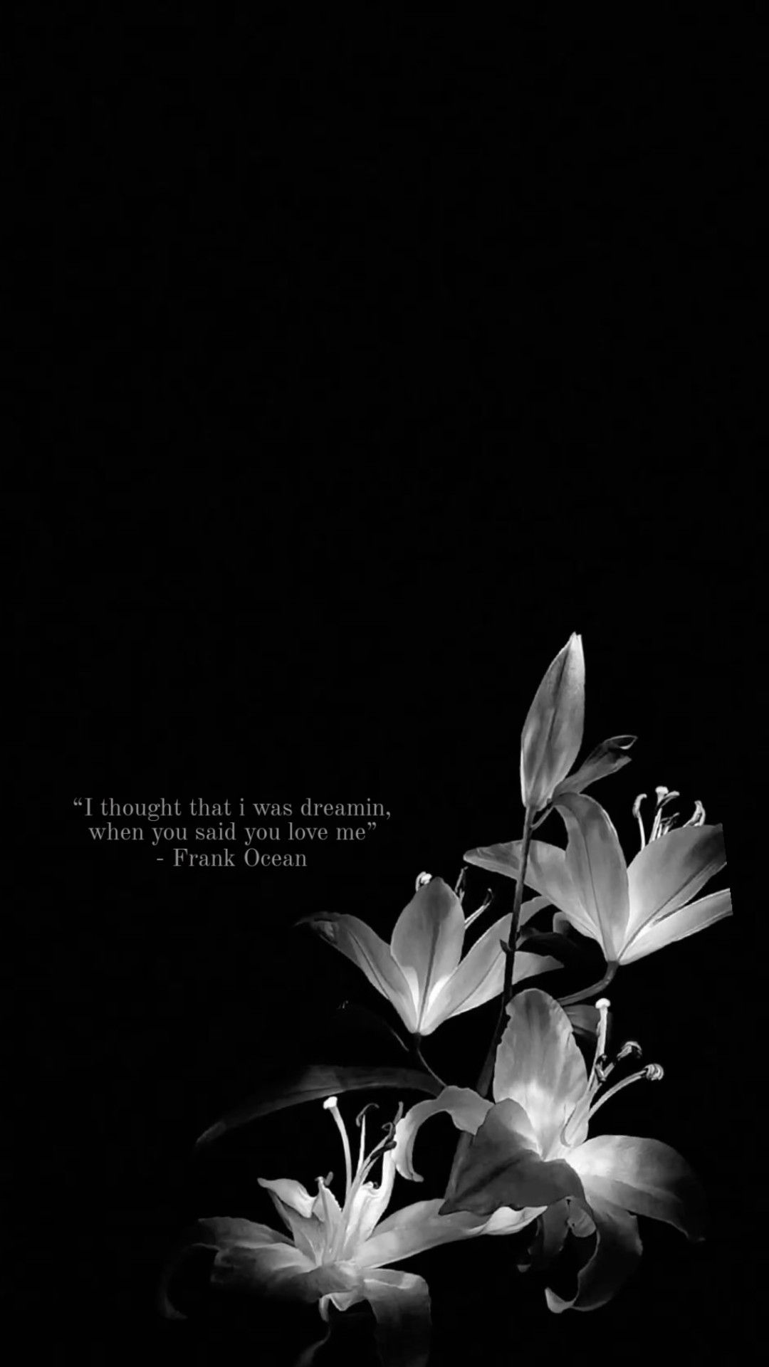 Wallpapers
