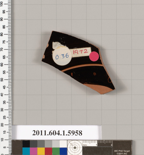 Museum Accessioned Pottery Shard