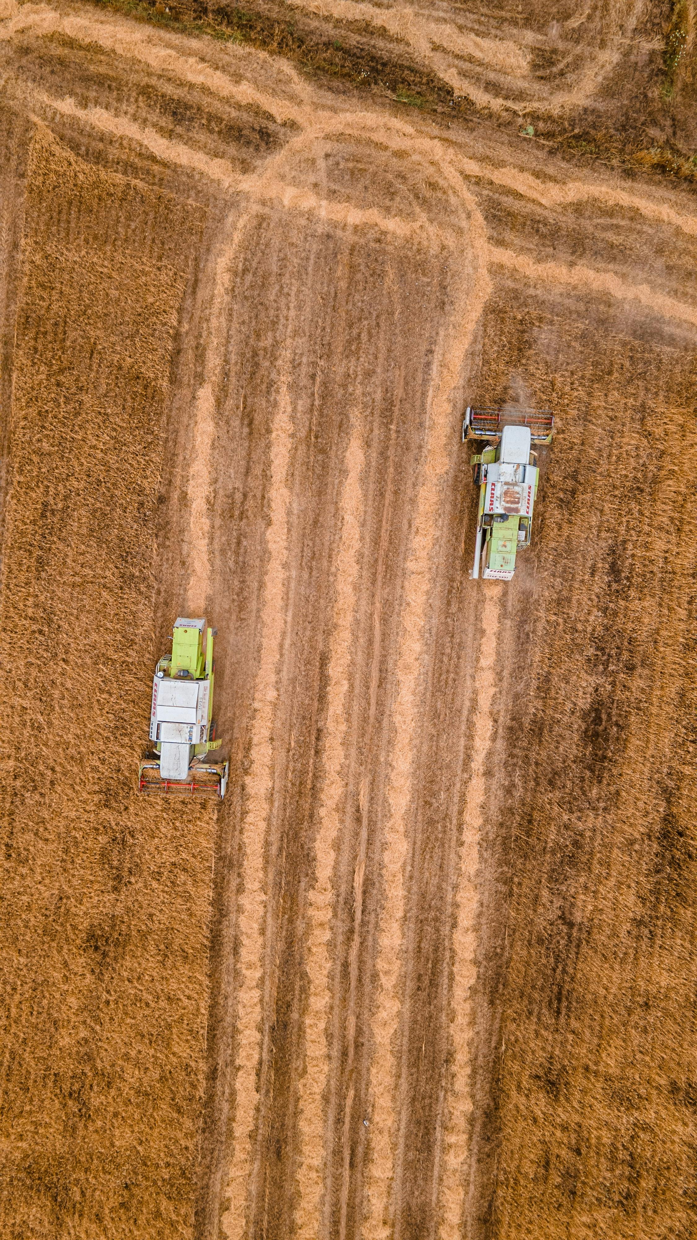 Aerial View of Two Combines Harvesting Grain