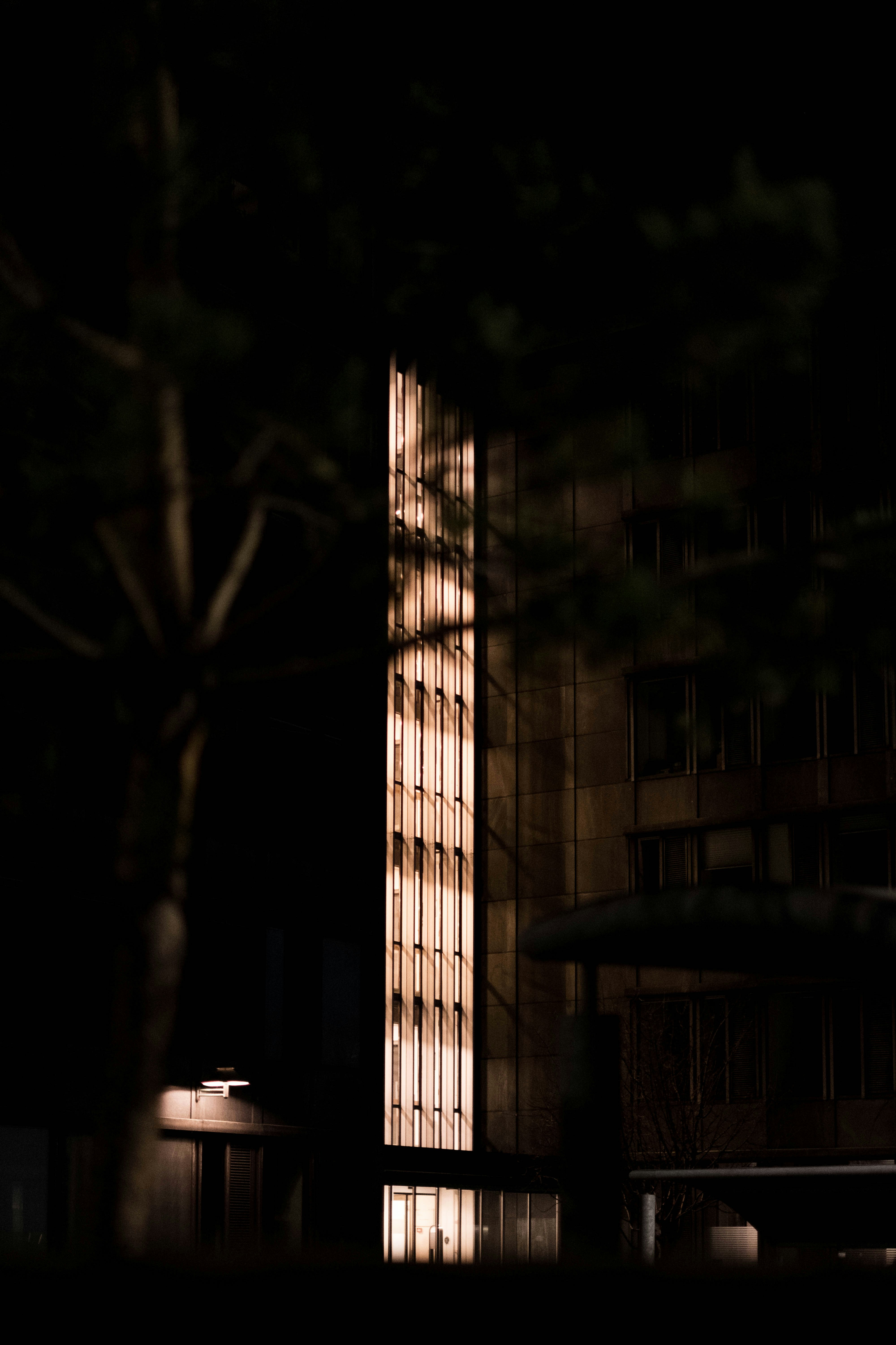 Vertical Lit Building at Night — Phone Wallpapers