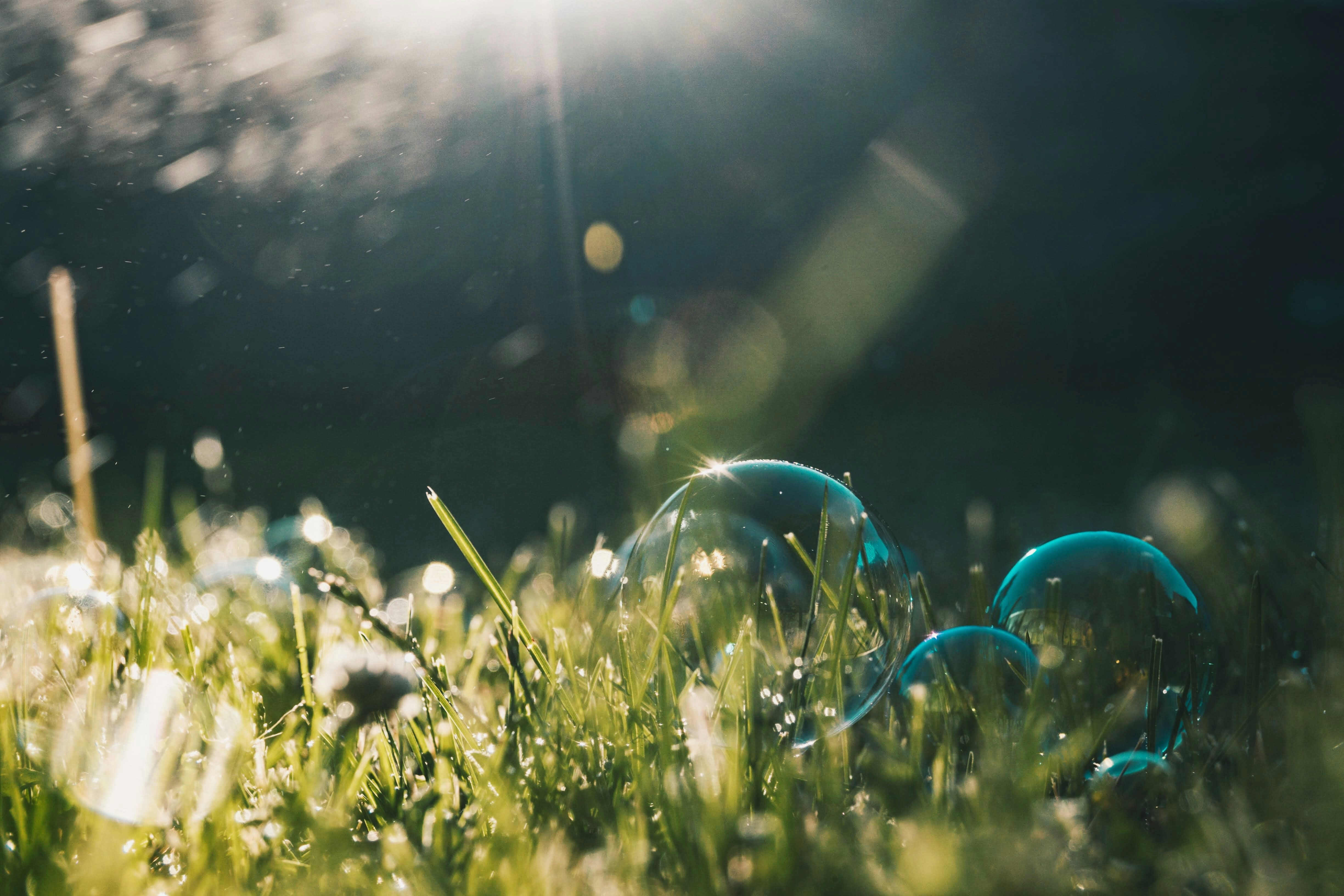 Soap Bubbles on Sunlit Grass