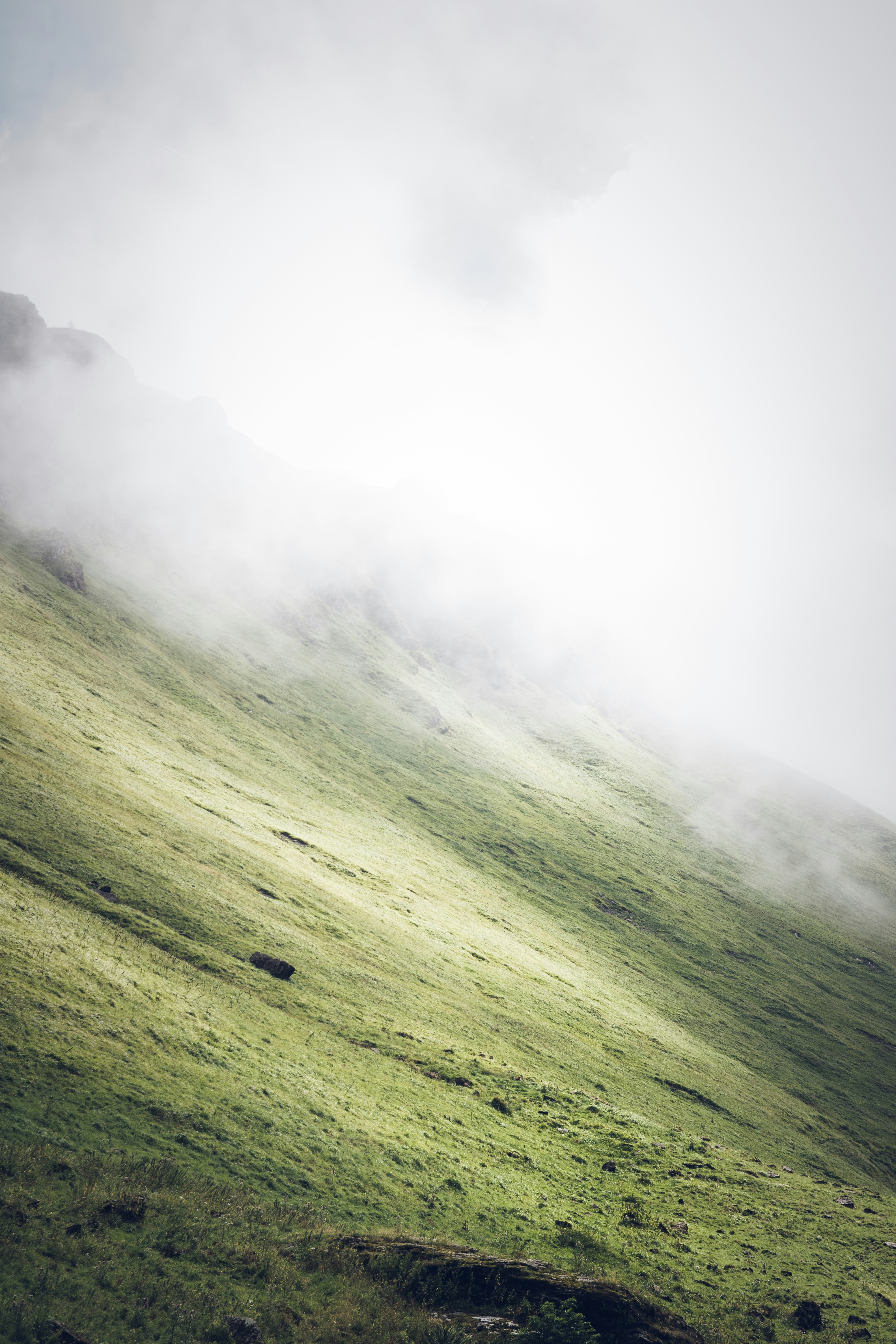 Misty Grassy Mountain Slope