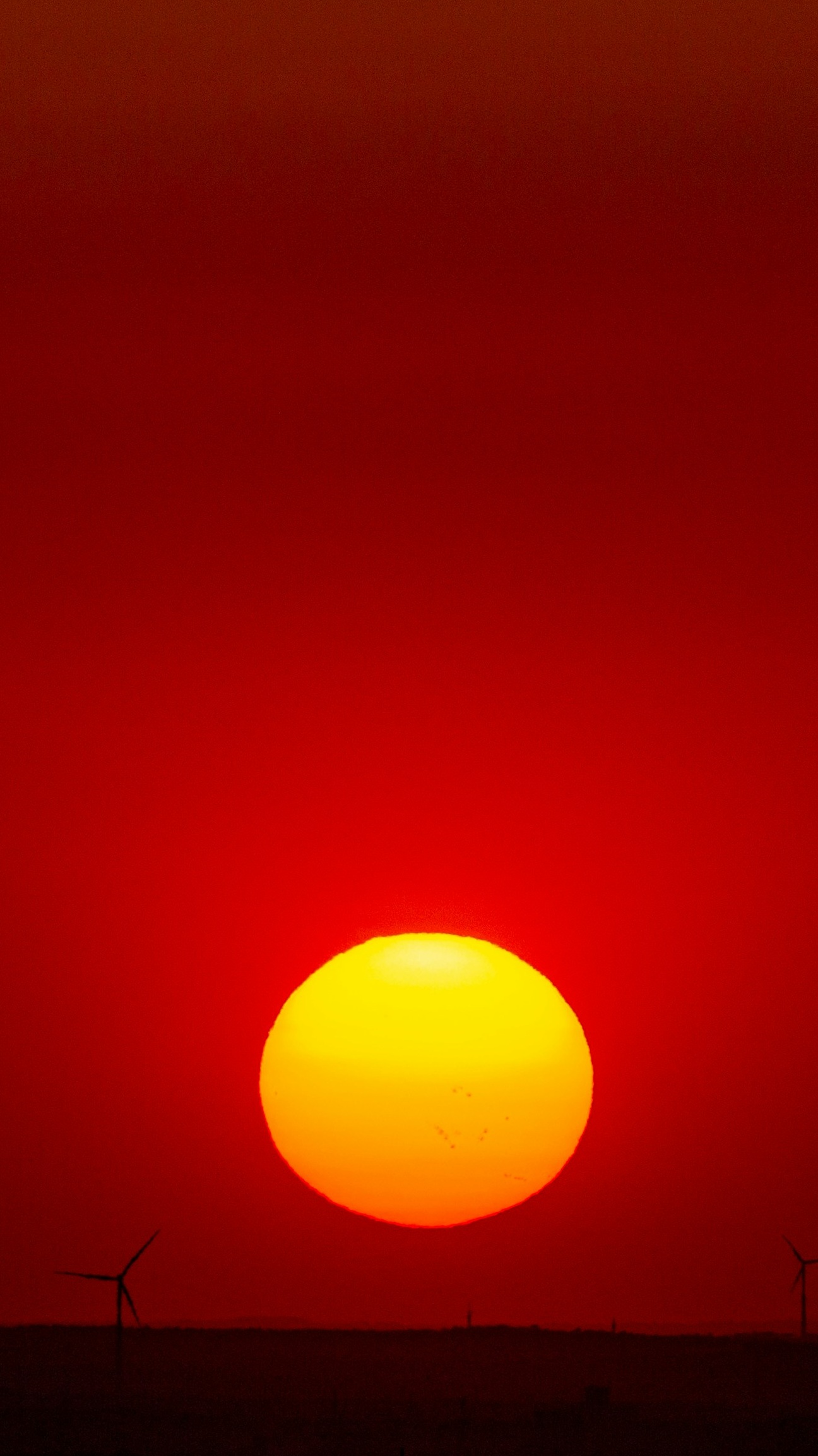 Wallpapers