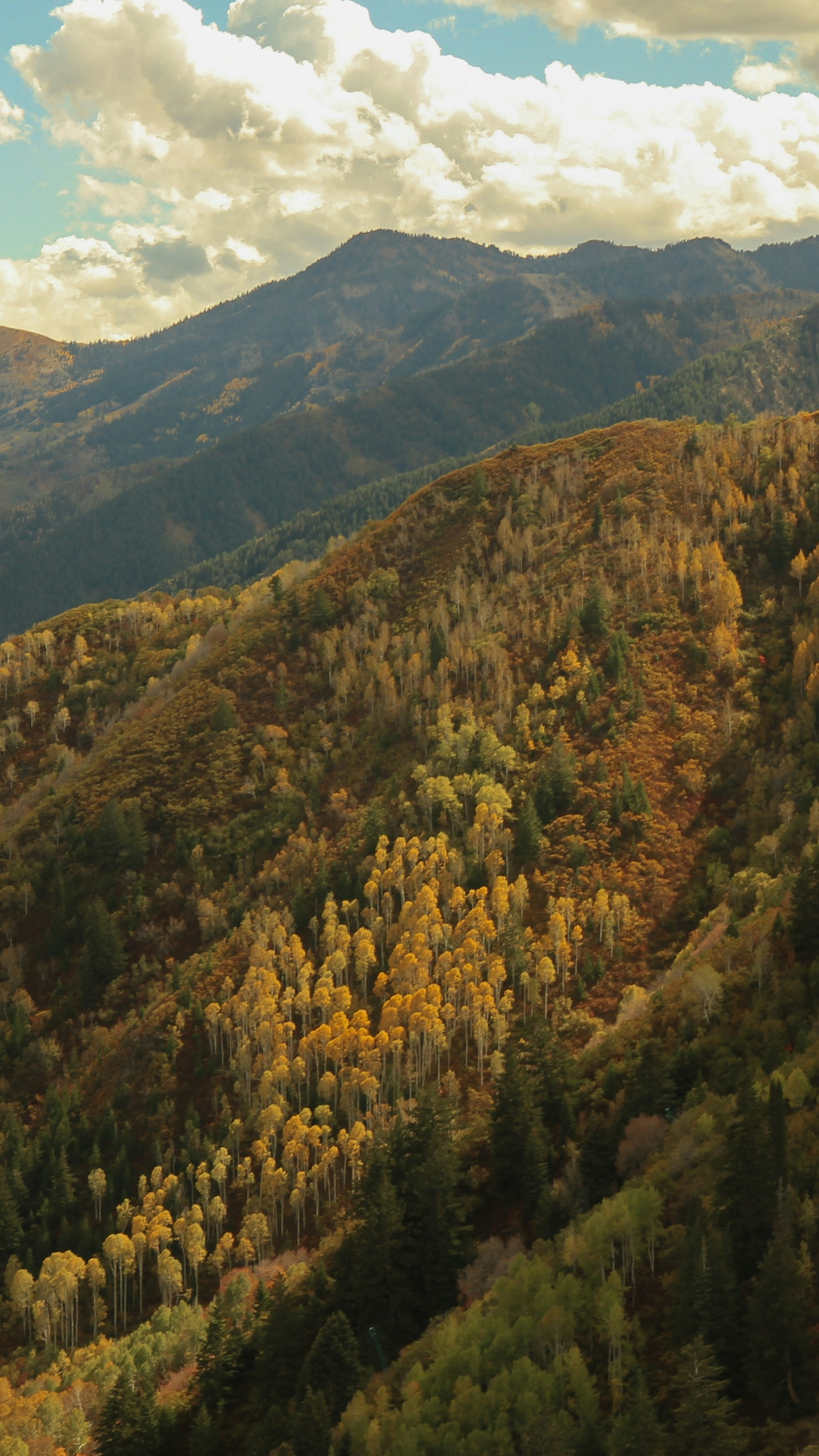 Landscapes