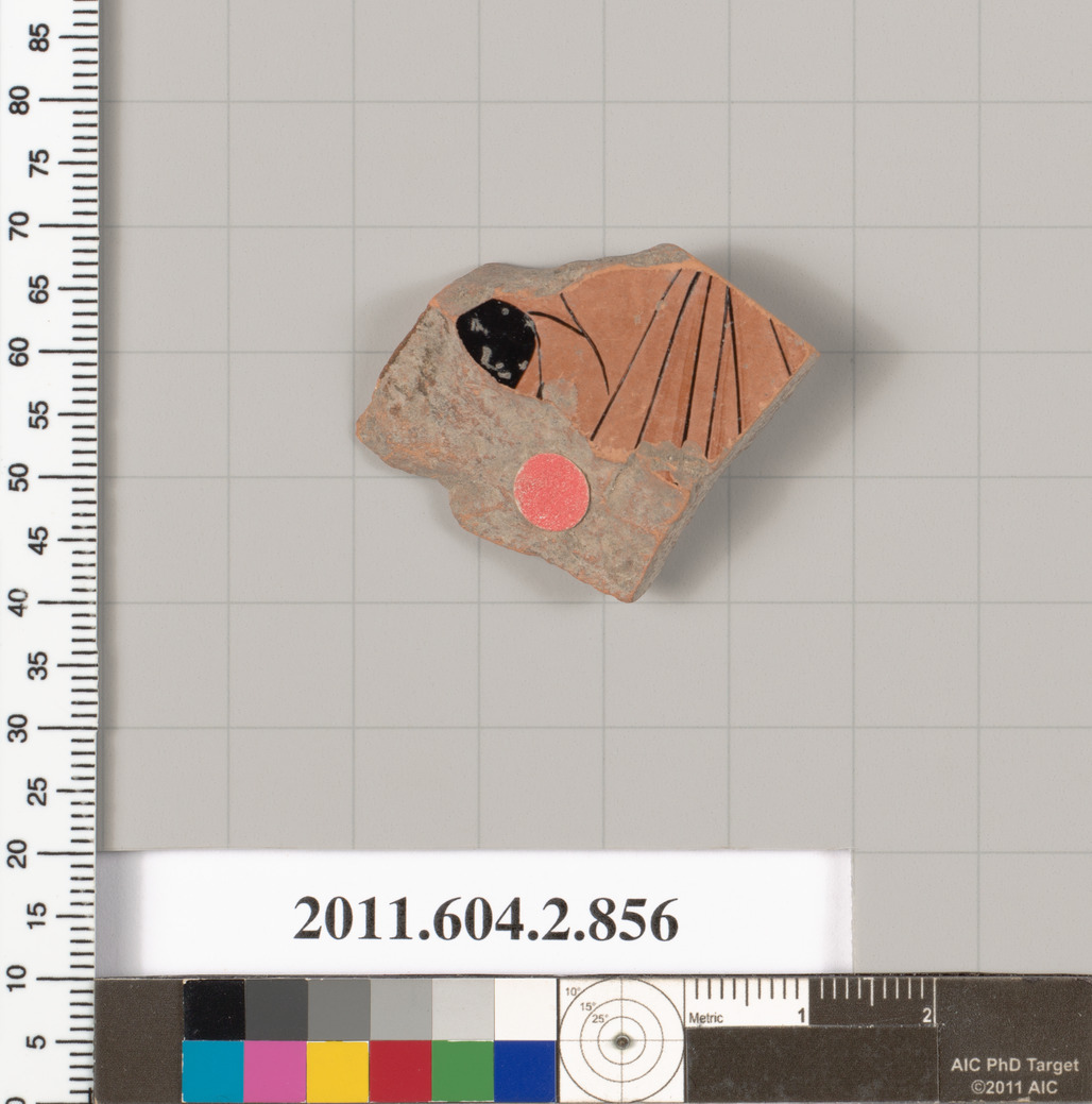 Ancient Pottery Fragment Sample