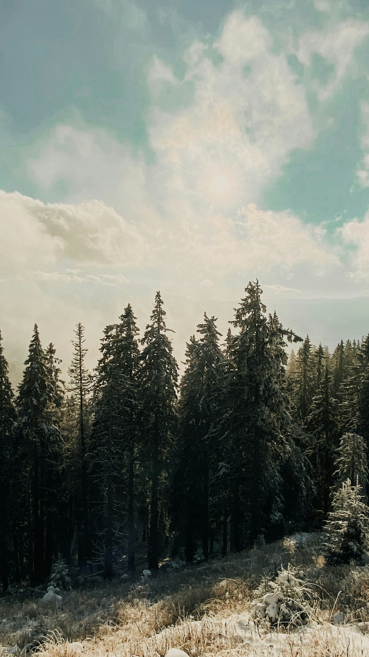 Wallpapers