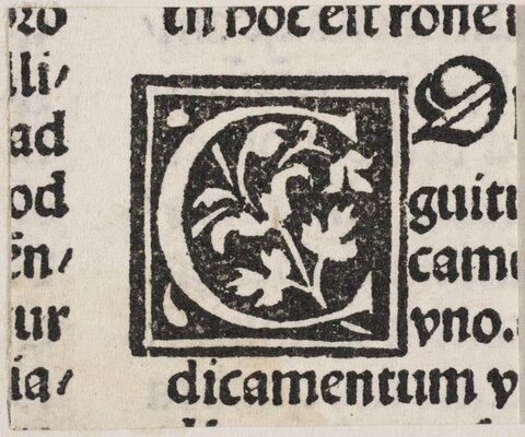 Medieval Decorated Initial C