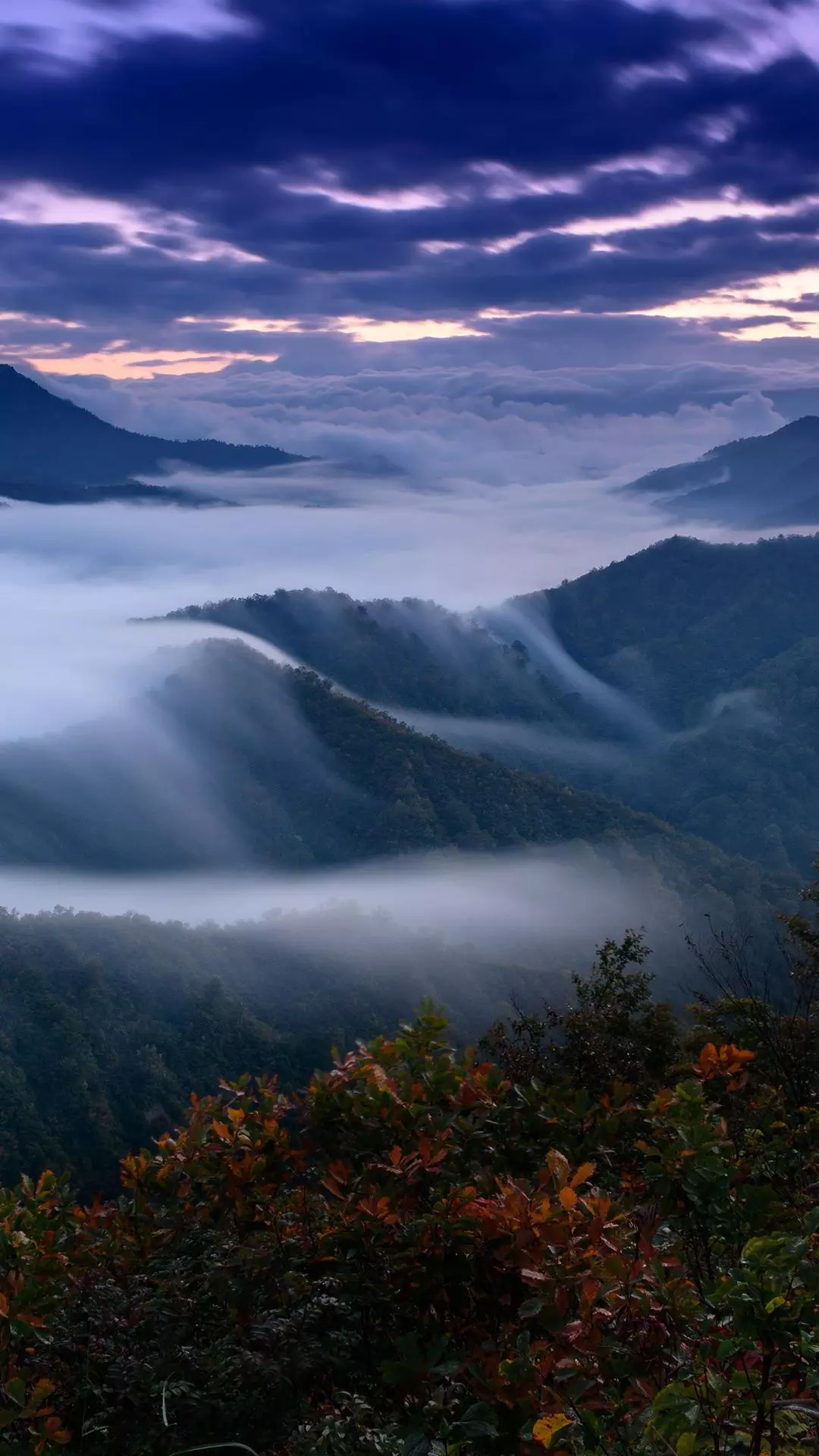 Landscapes