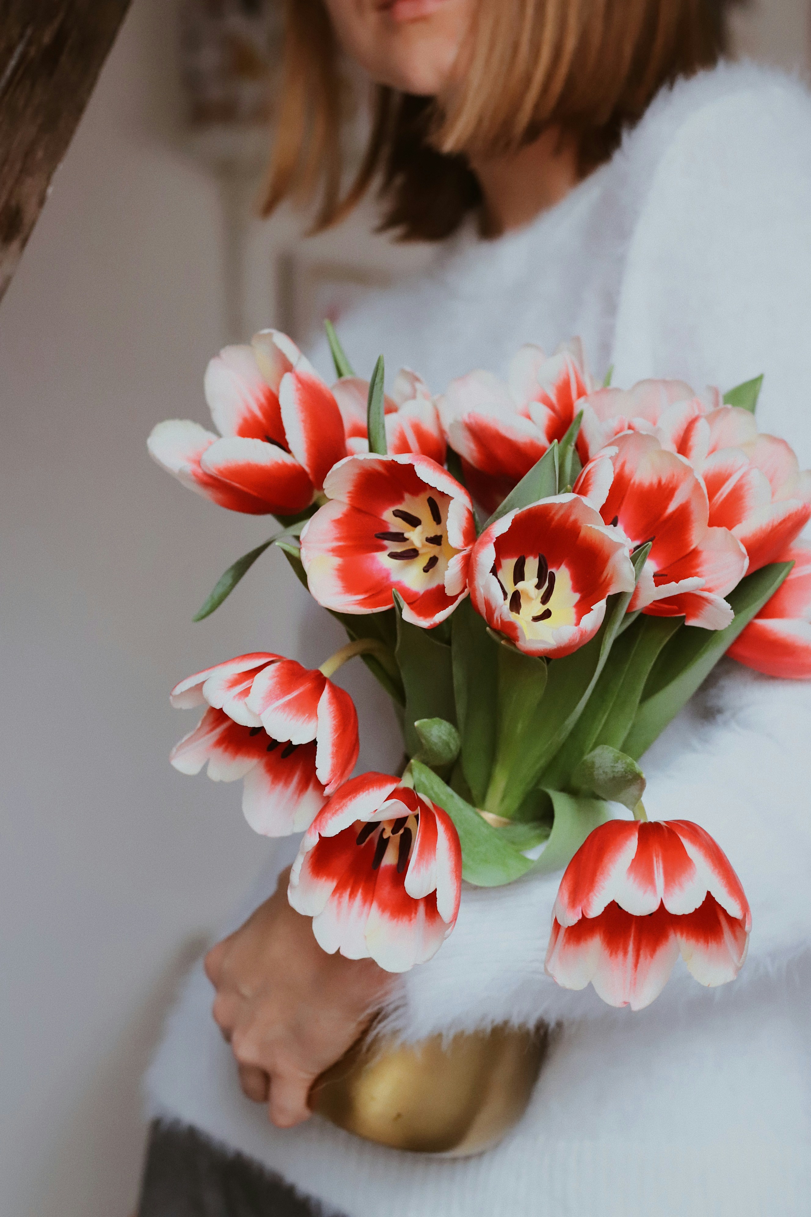 Woman Holding Red-white Tulip Bouquet