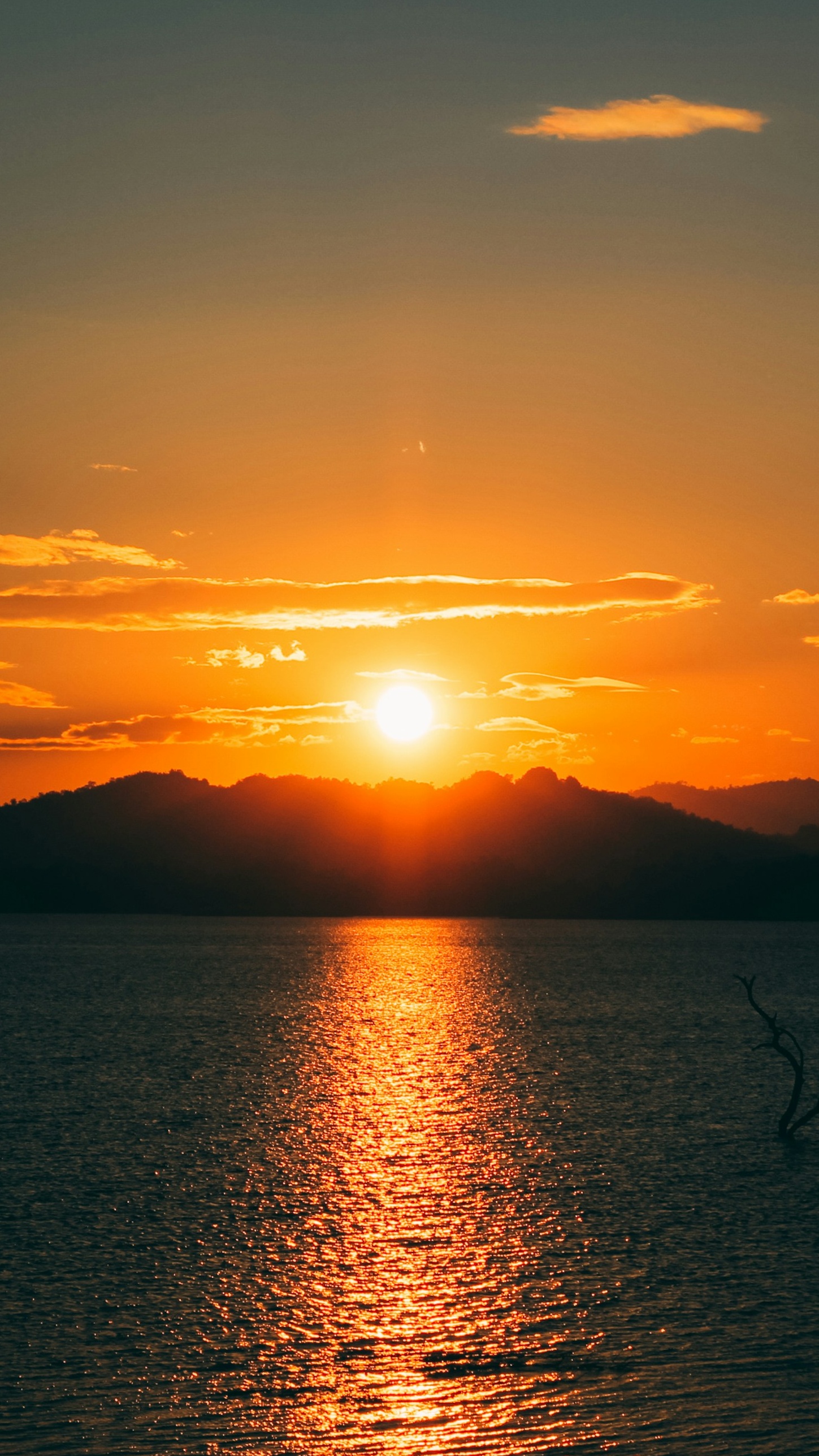 Landscapes