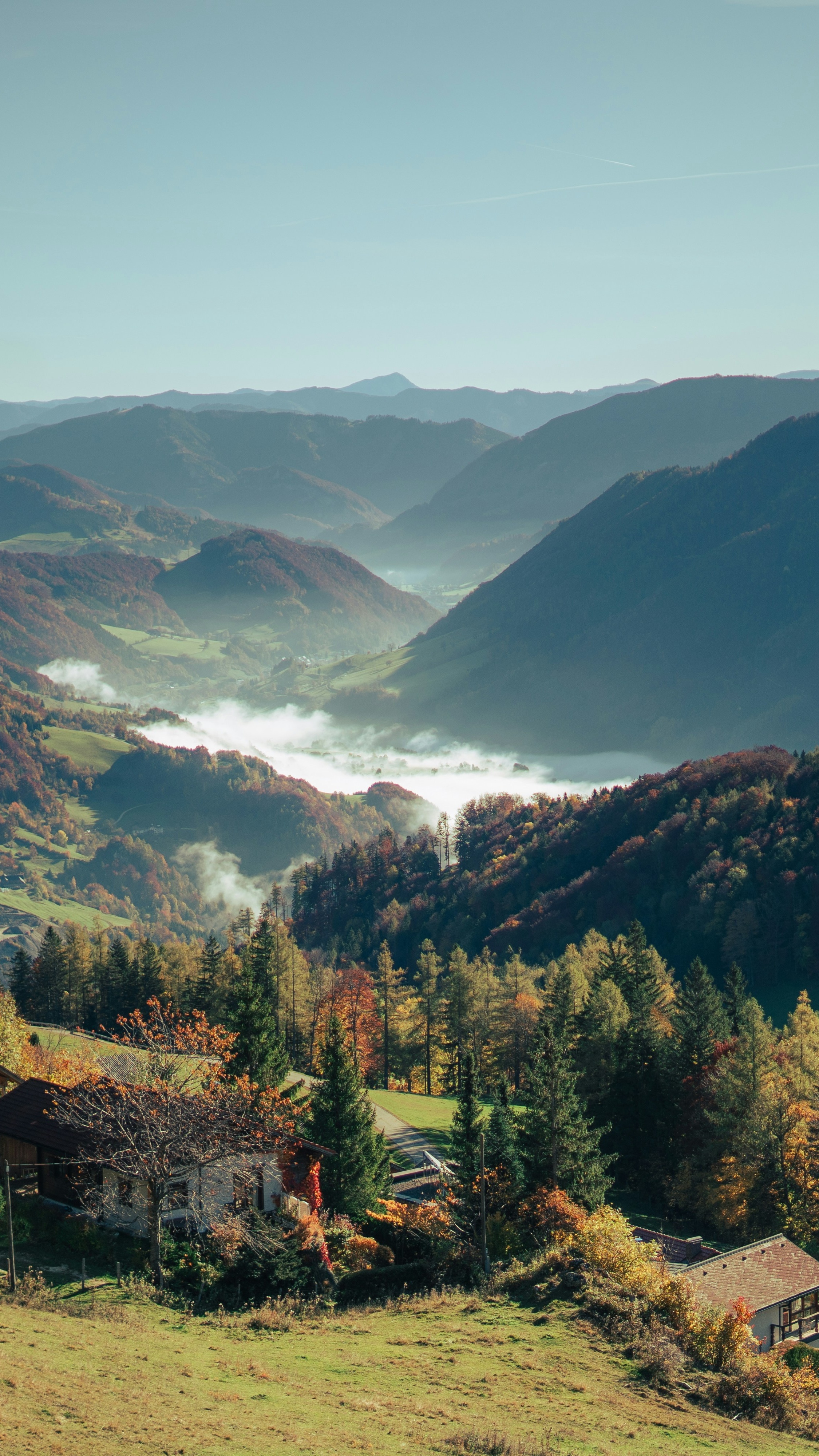 Autumn Mountain Valley Morning