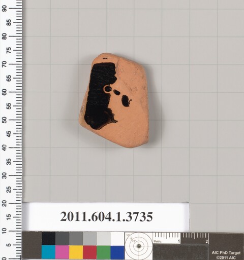 Ancient Terracotta Pottery Fragment