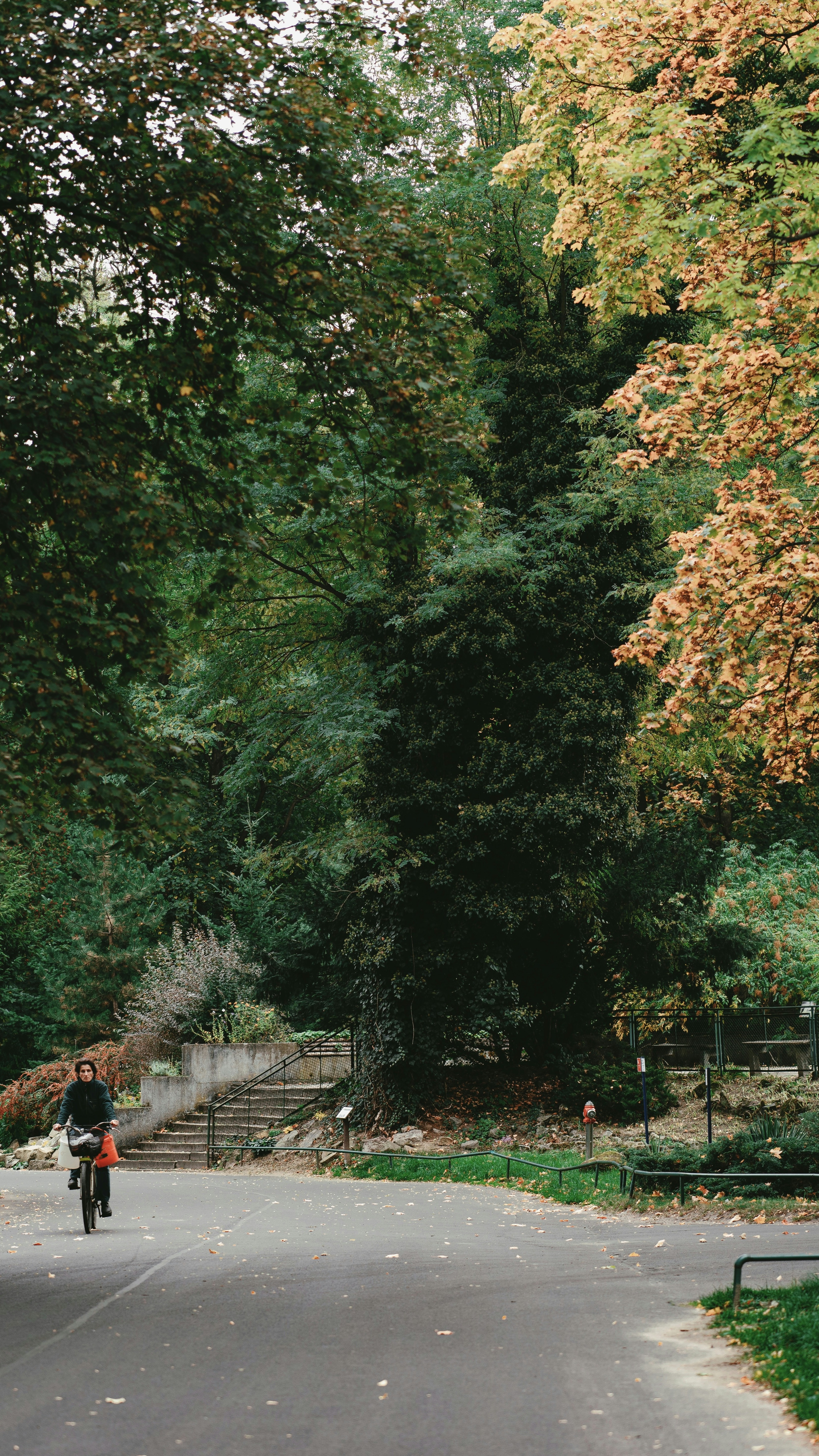 Cyclist On Autumn Park Path