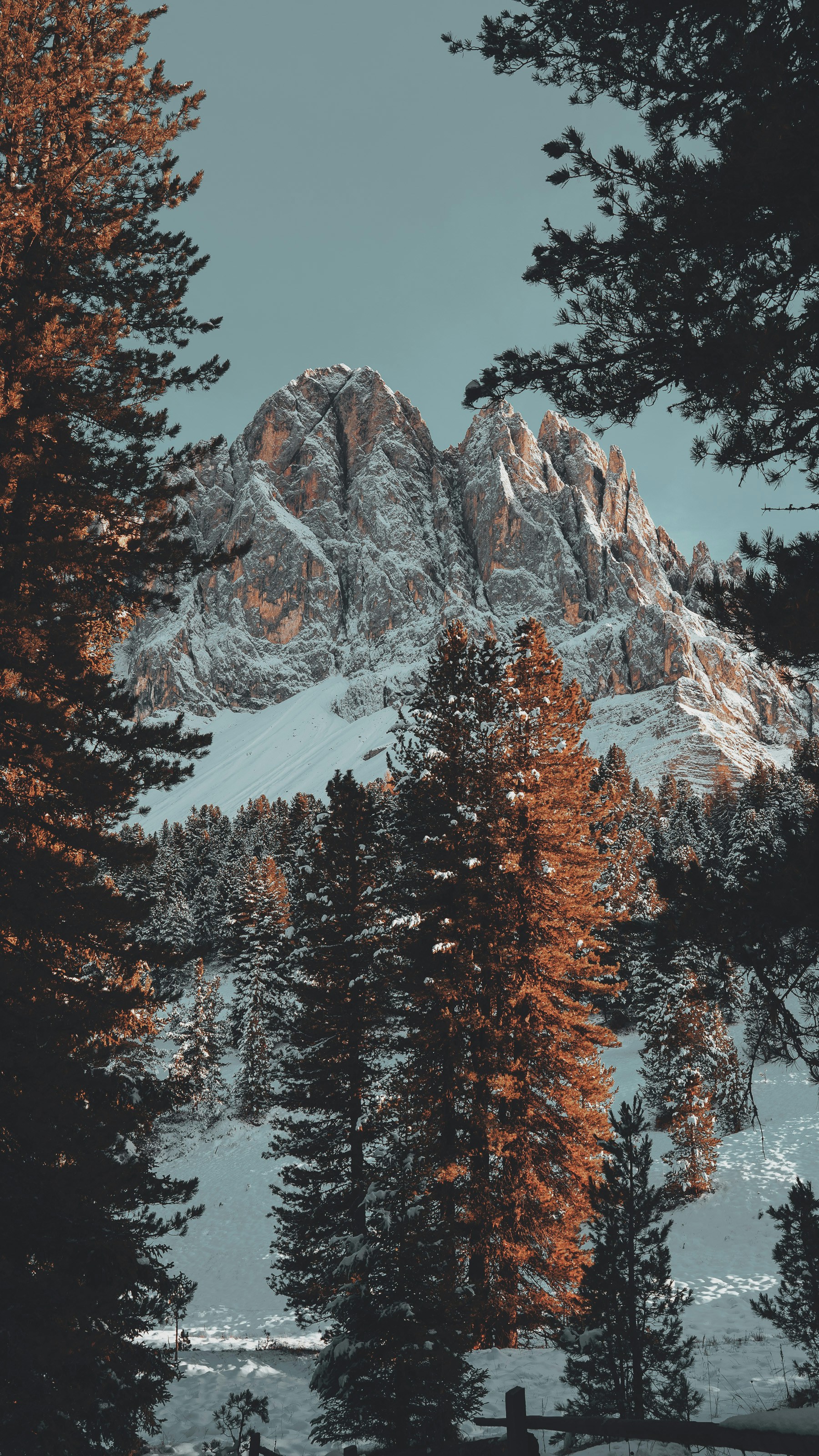 Wallpapers