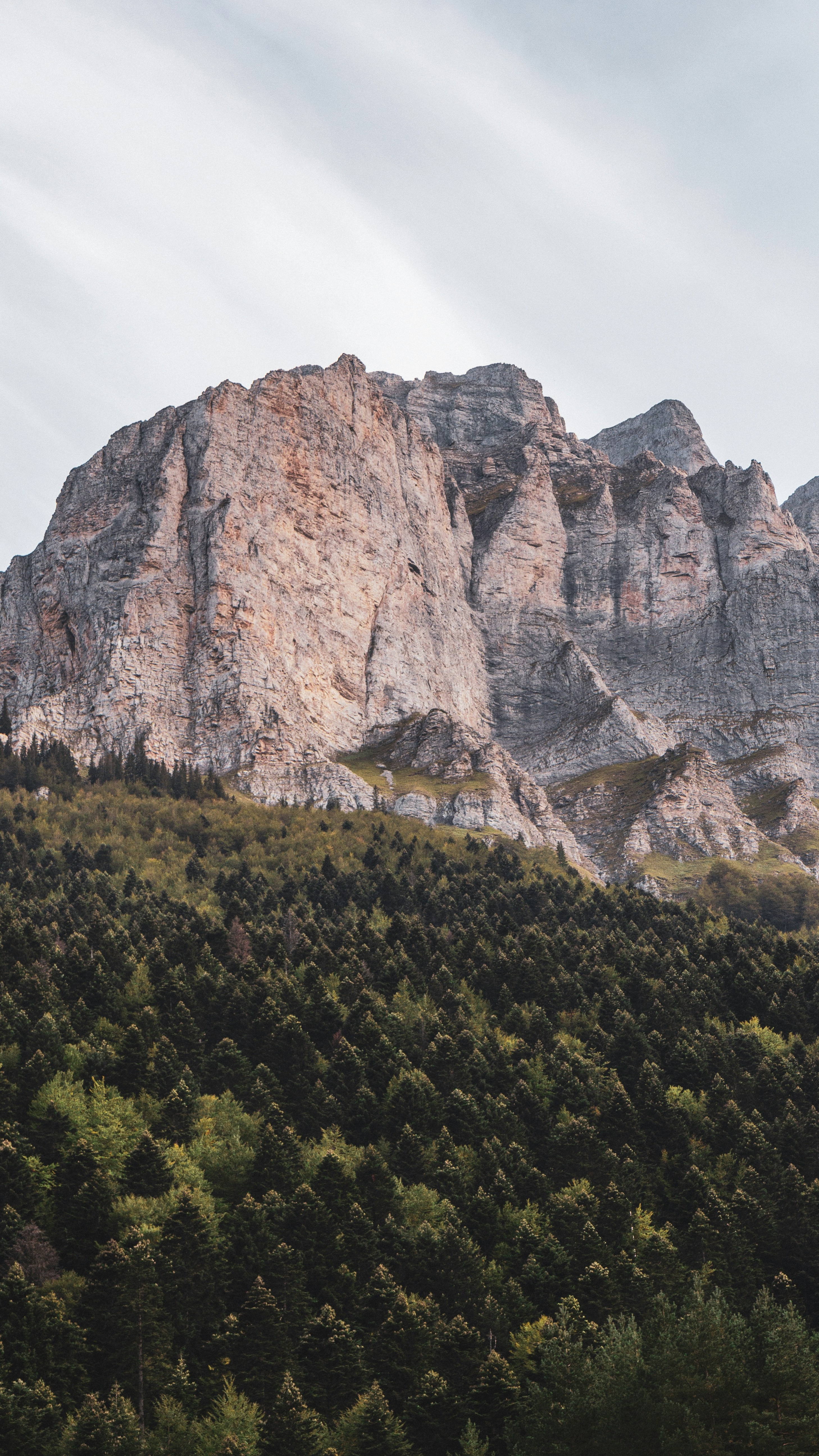 Rocky Mountain Cliffs Above Dense Forest