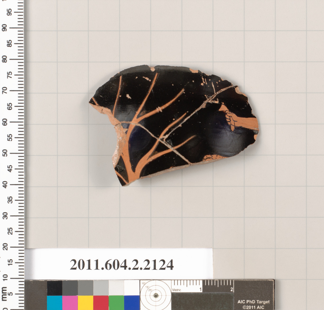 Ancient Painted Pottery Fragment