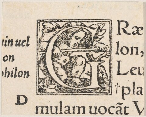Ornate Woodcut Initial on Antique Text Page
