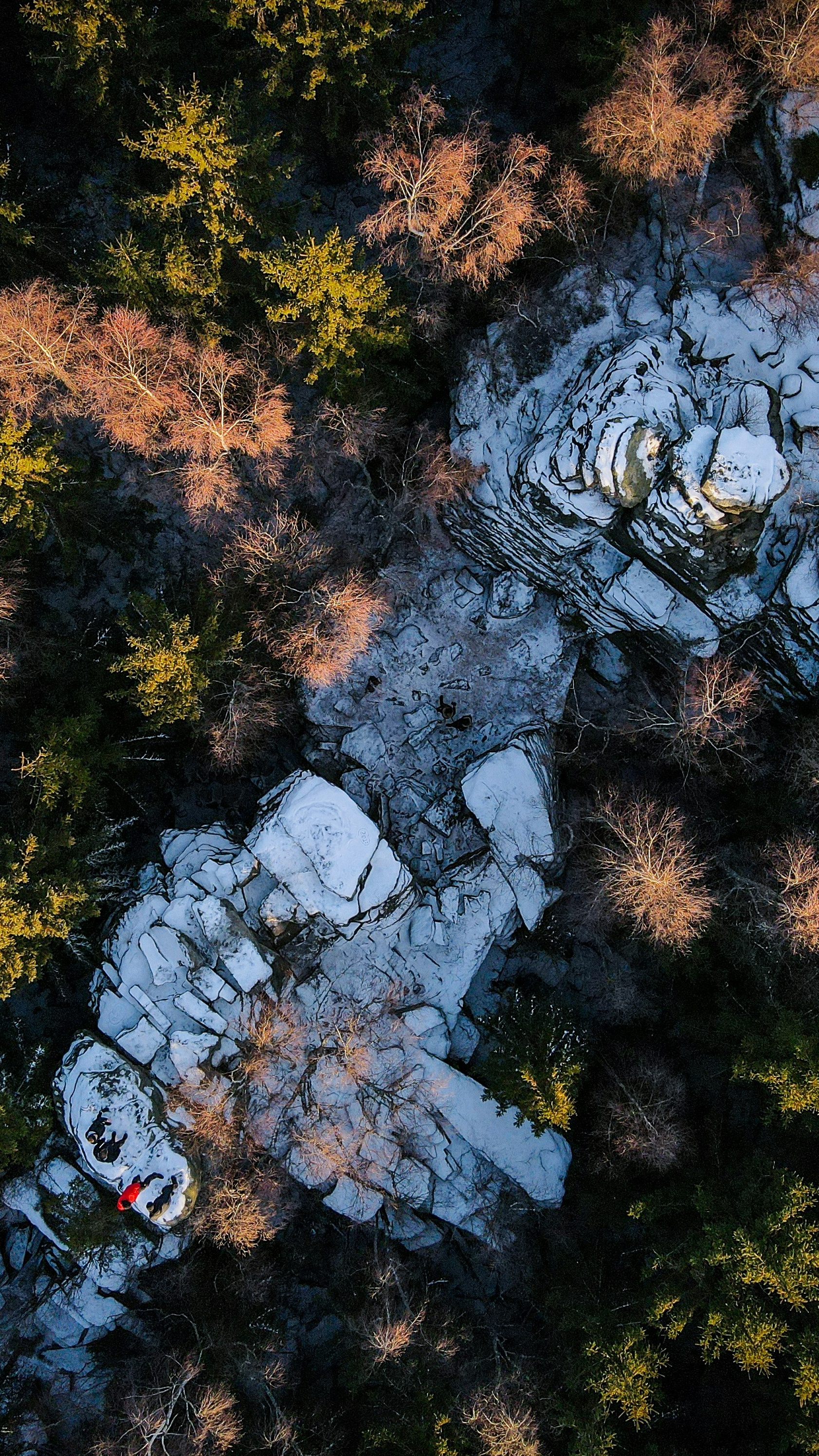 Wallpapers