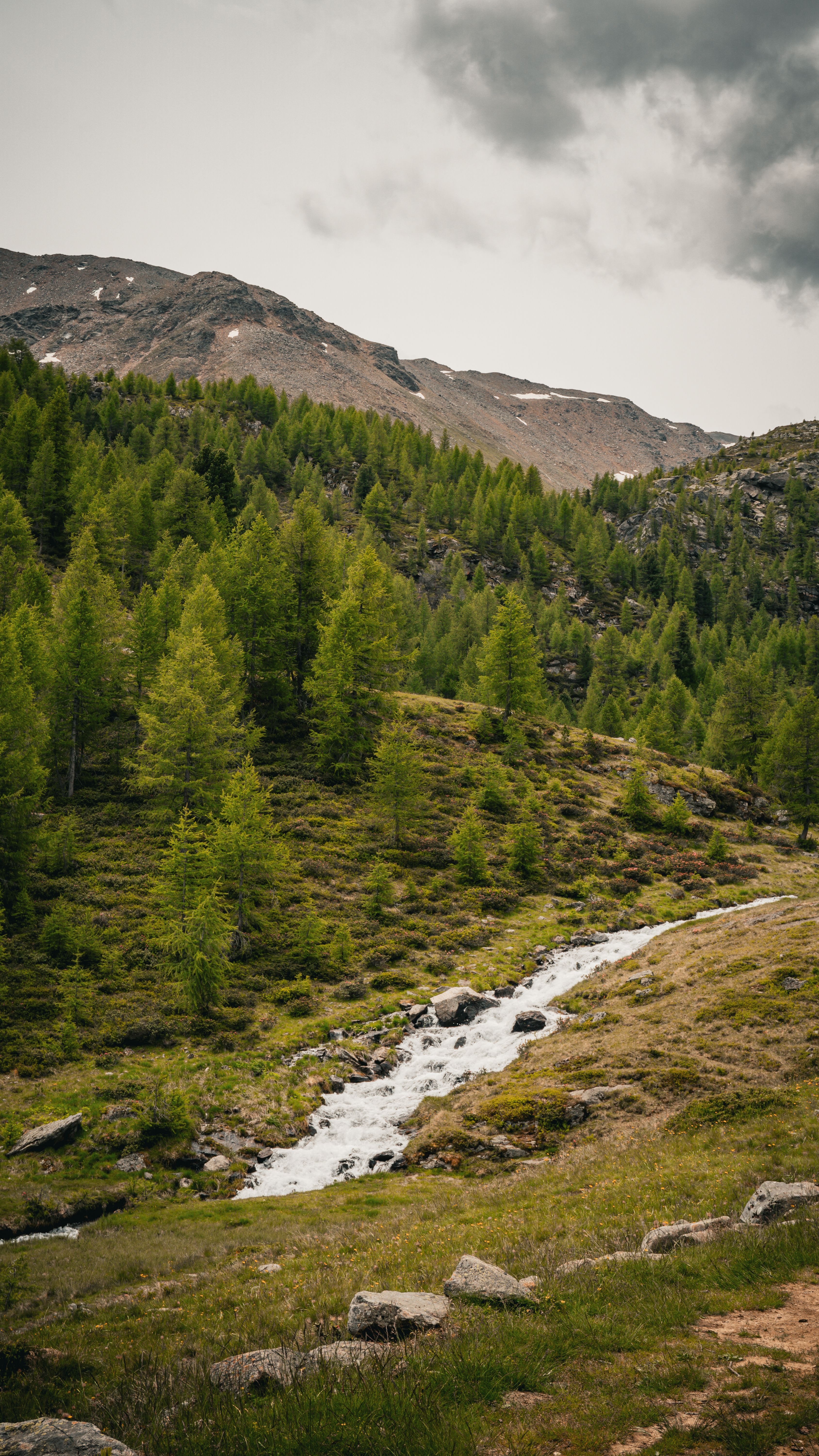 Image 1623104 — Nature