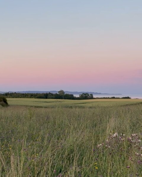 Image 22010 — Nature