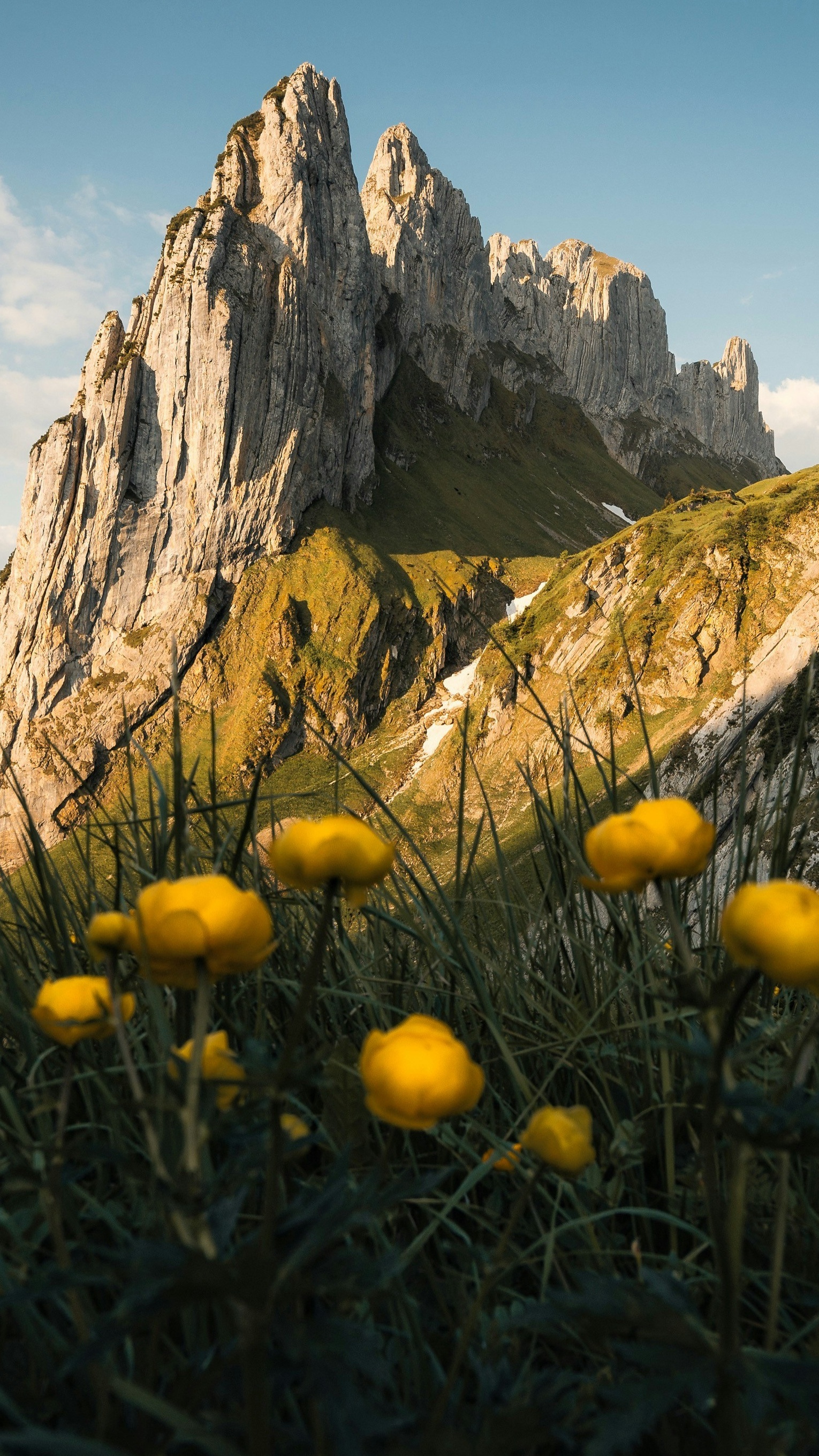 Wallpapers