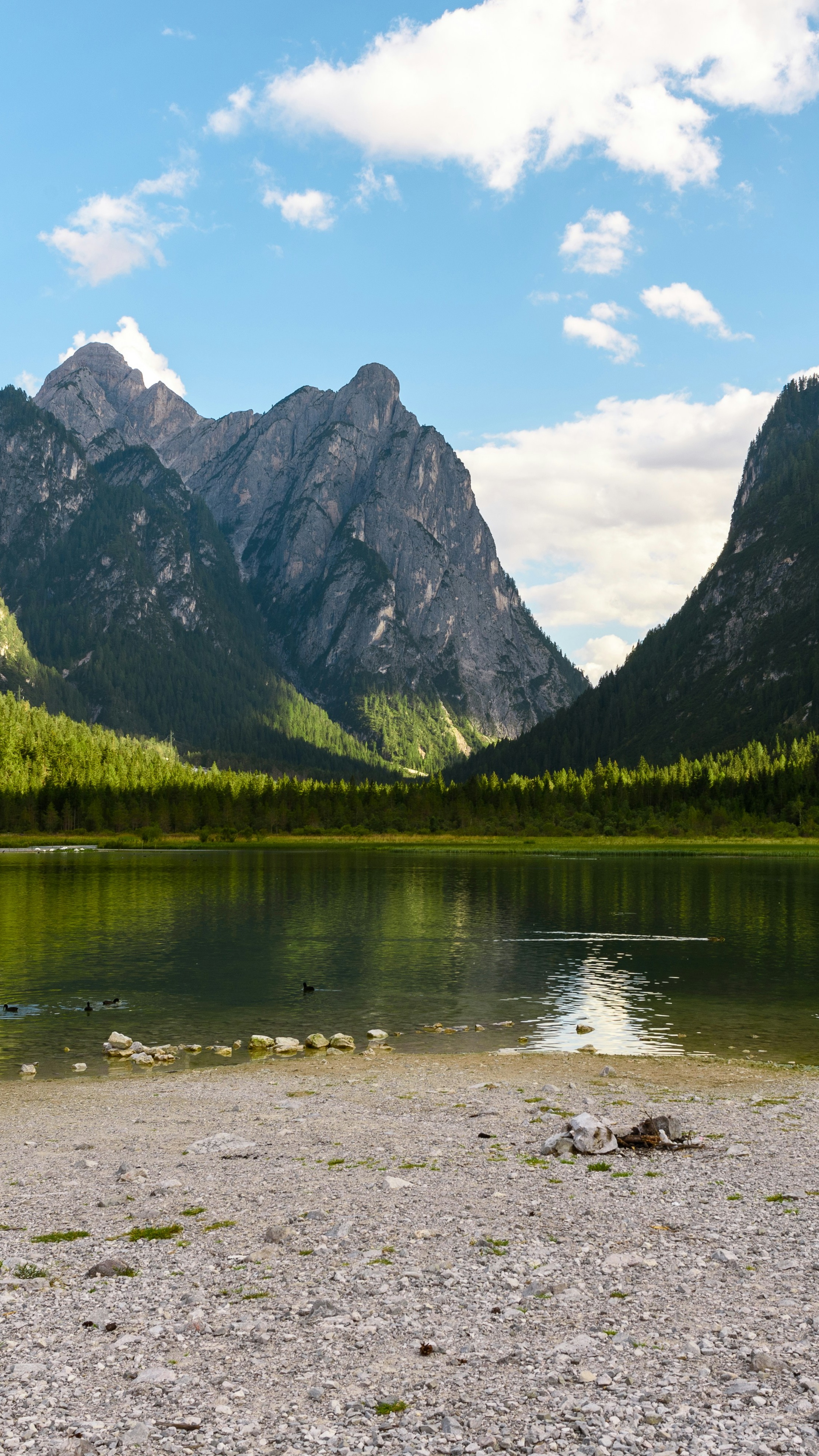 Landscapes