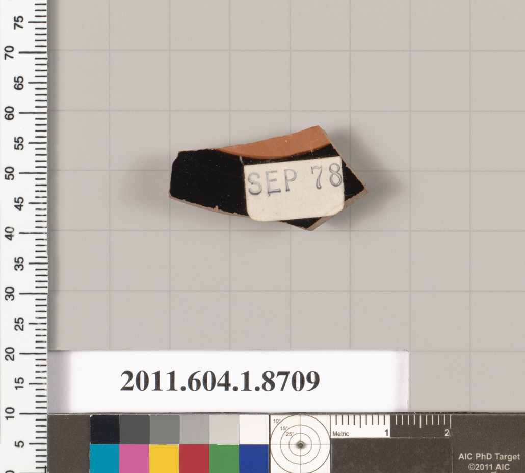Labeled Ceramic Fragment Specimen