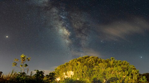 Milky Way Over Forest Hill At Night