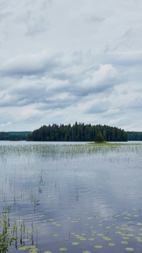 Image 1557888 — Nature