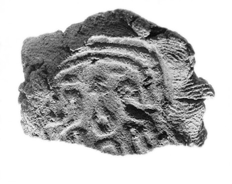 Ancient Fossil Impression on Rock