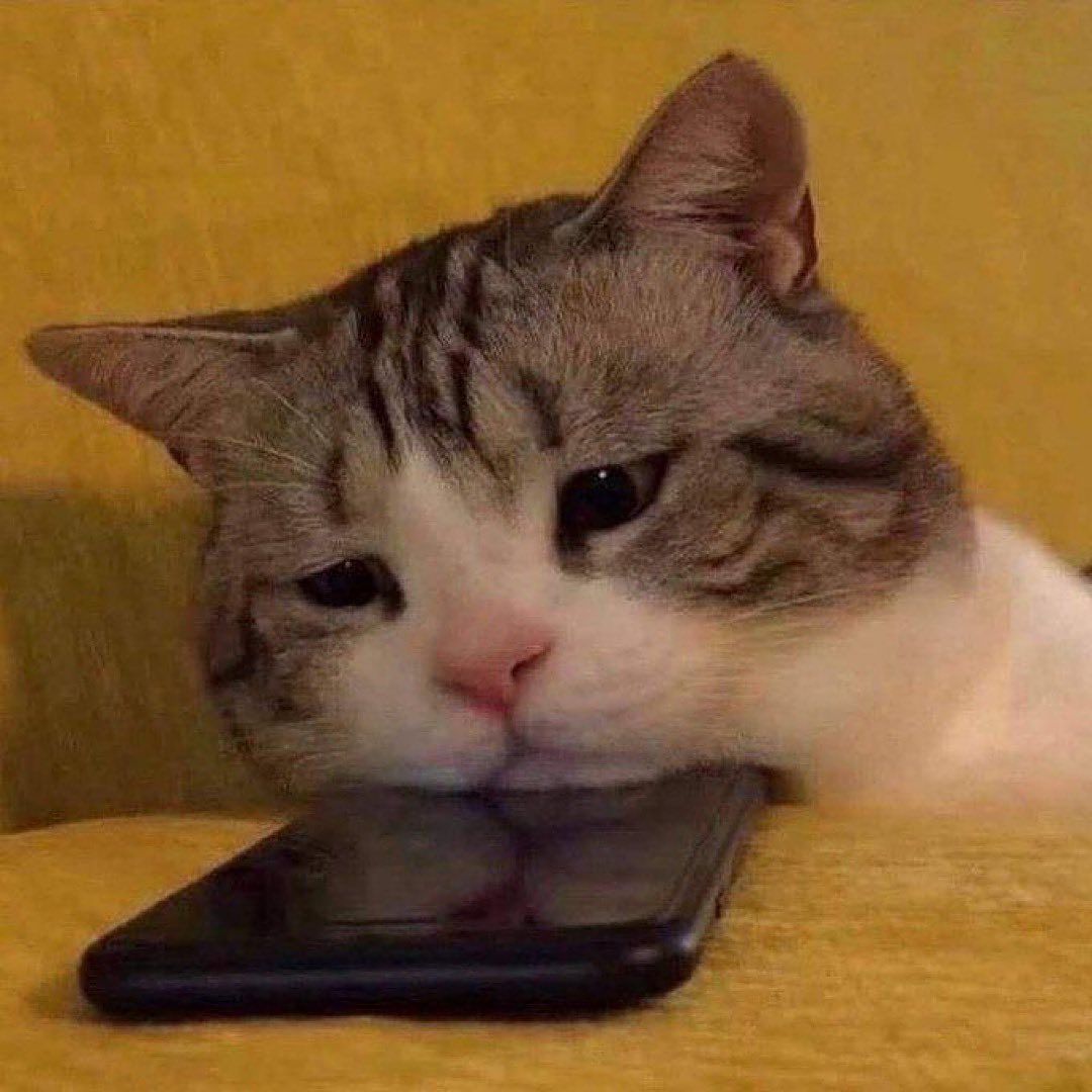 Tabby Cat Resting Chin on Smartphone