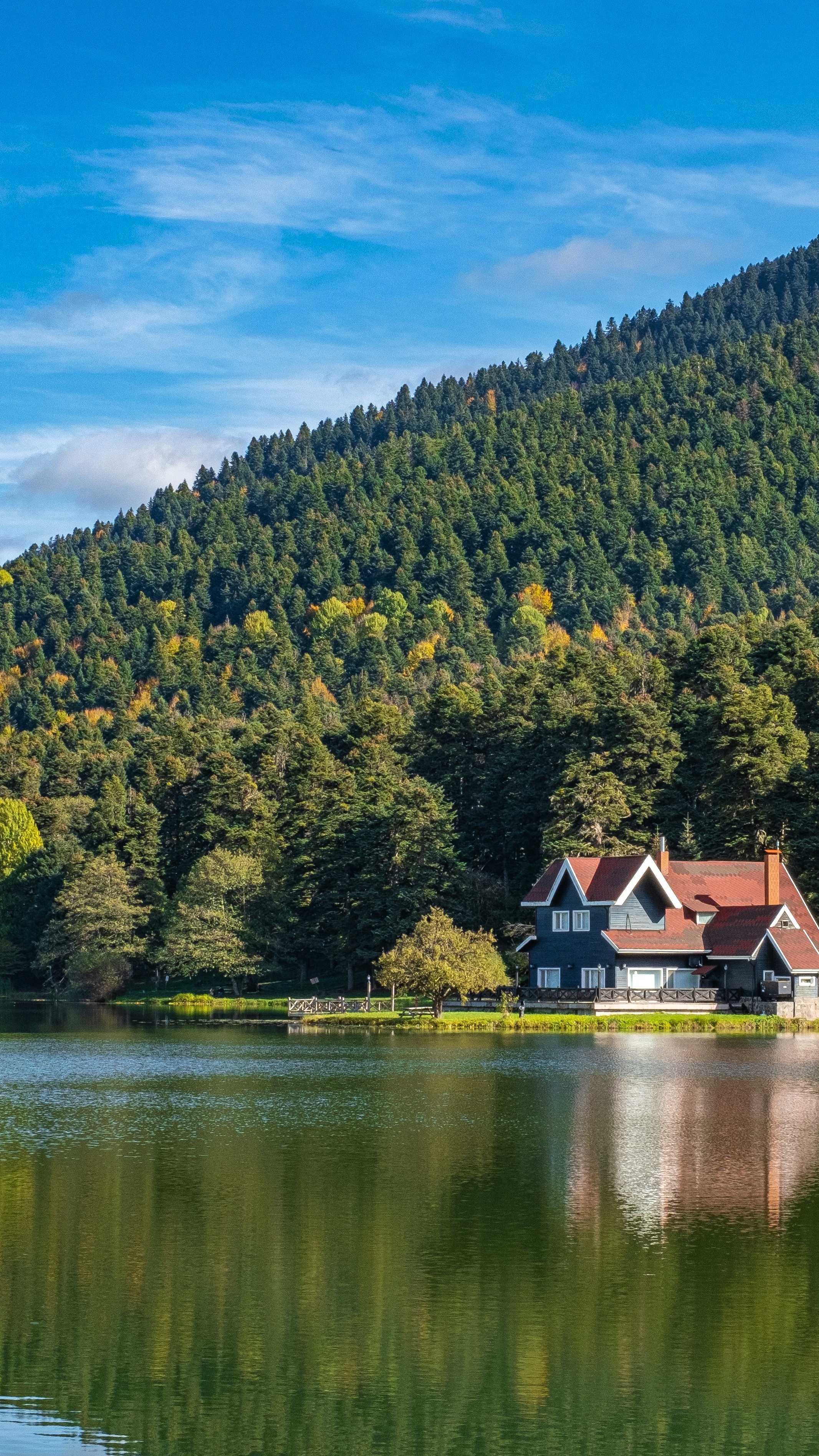 Lakeside Cabin by Forested Mountain