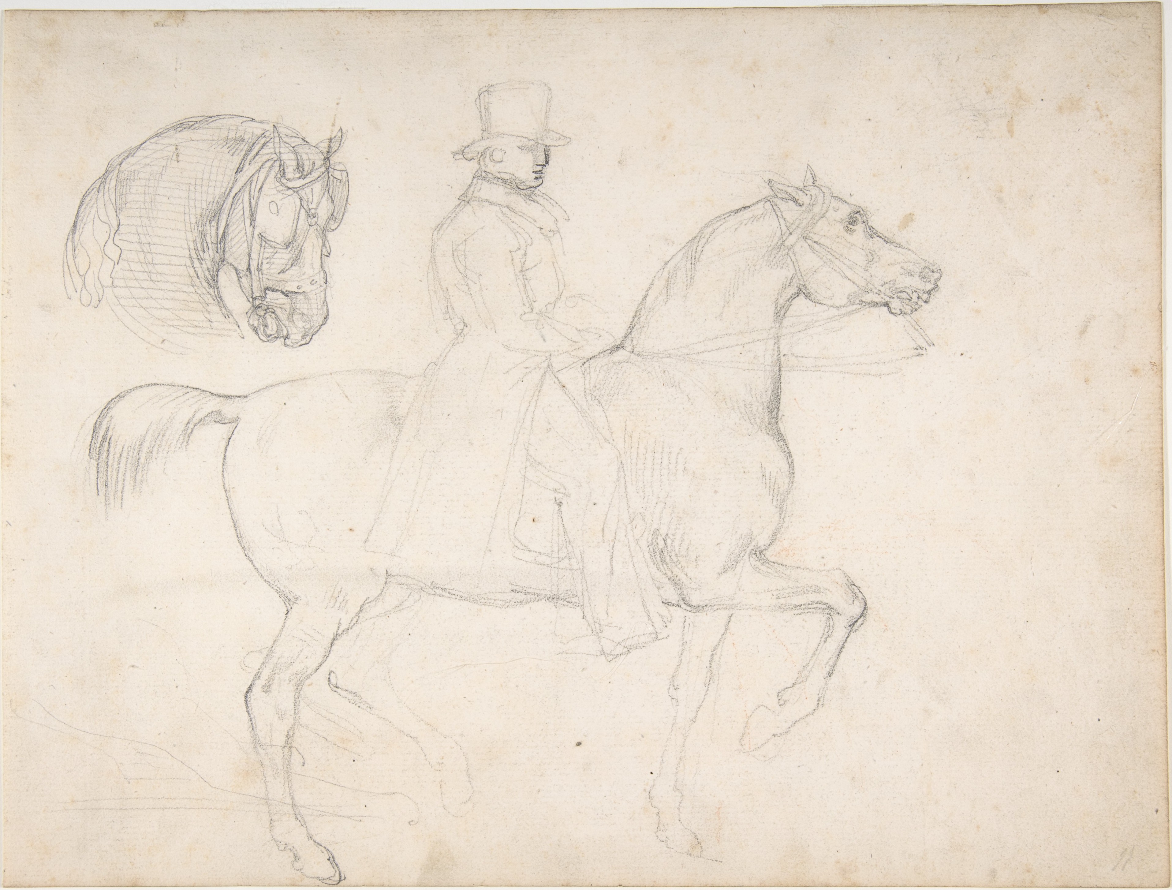 Pencil Sketch of Rider and Horse Studies