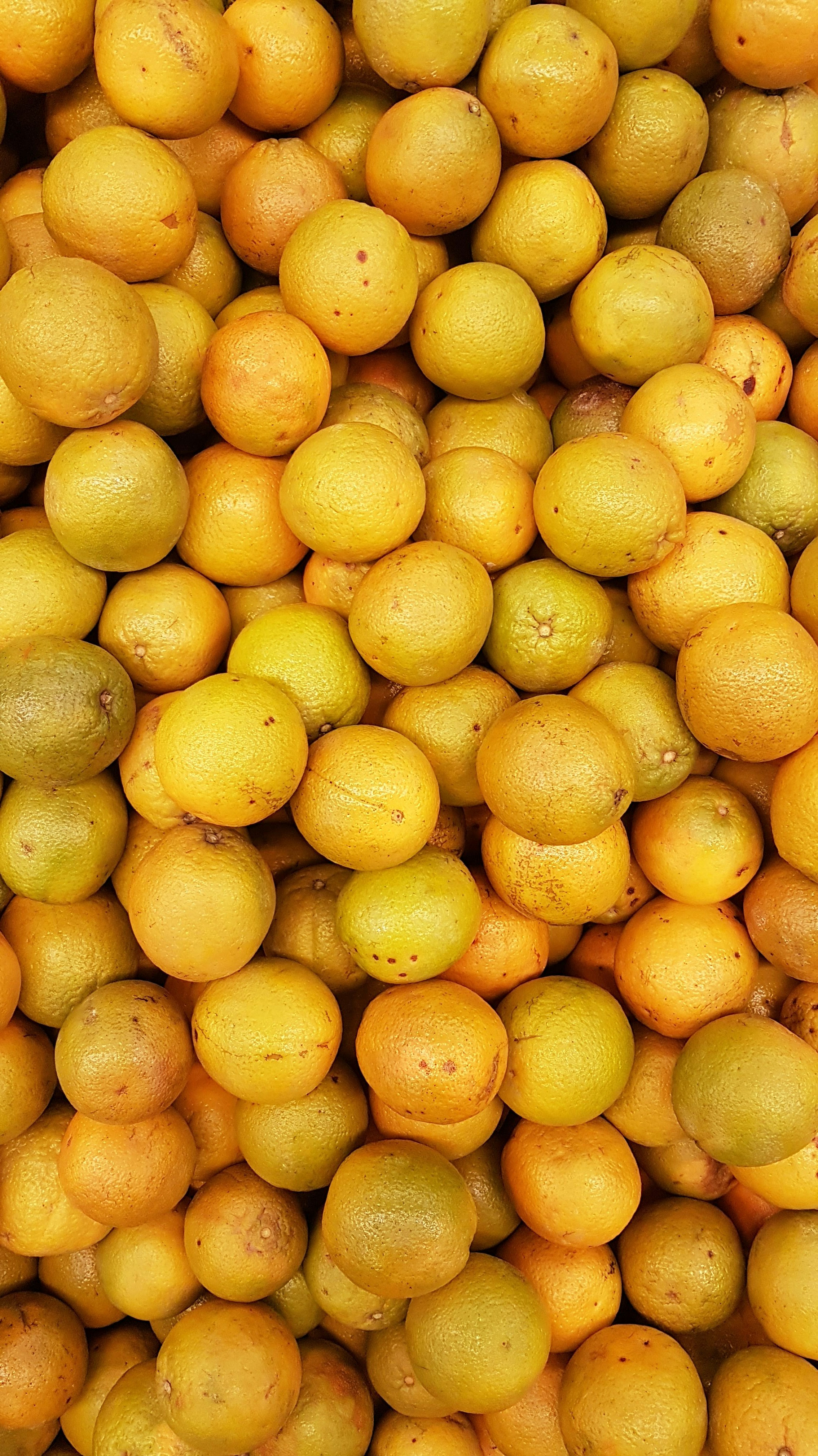 Pile of Fresh Oranges