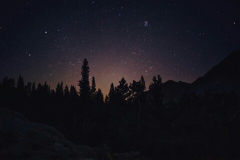 Starry Night Over Mountain Forest