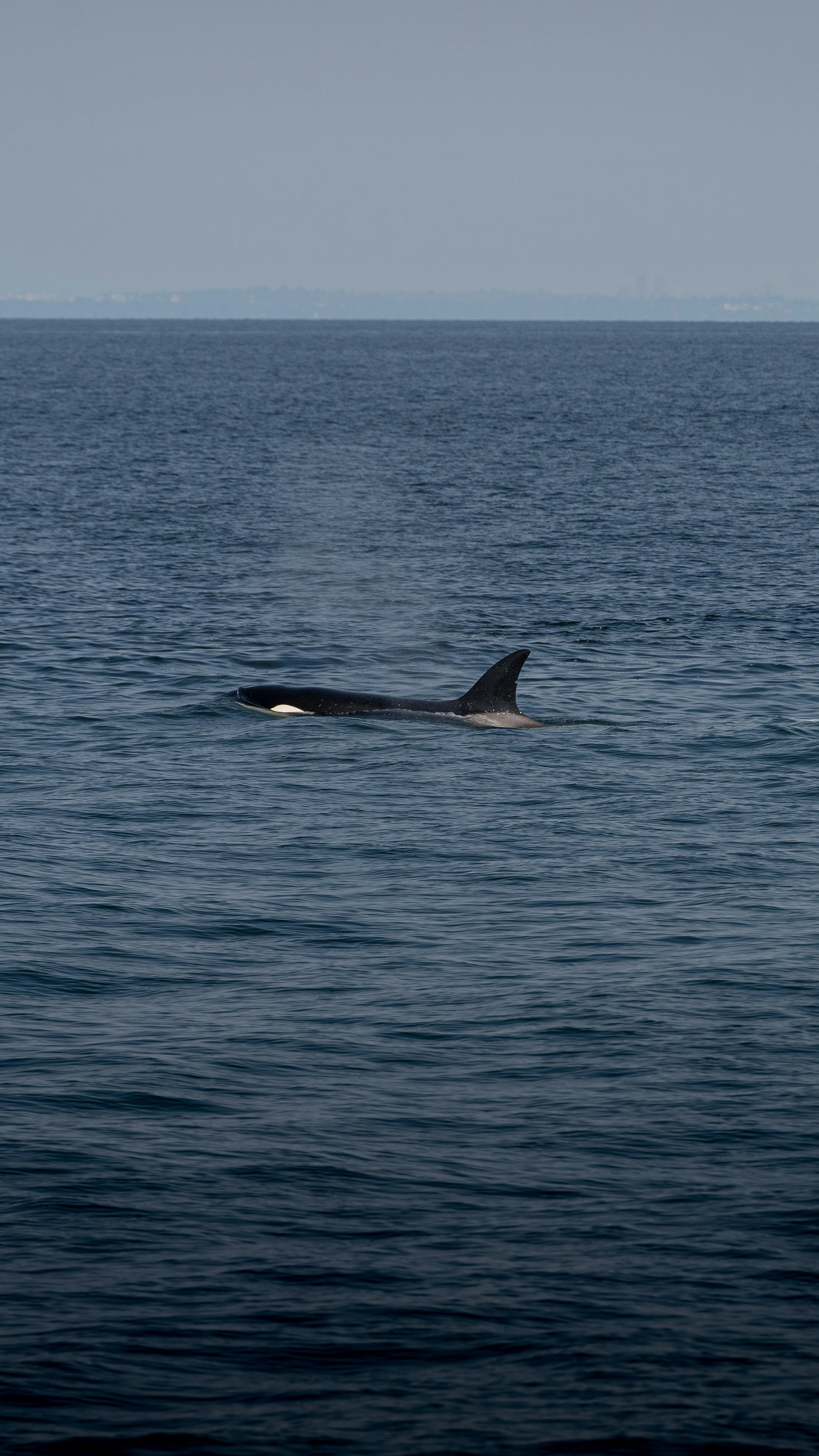 Ocean World