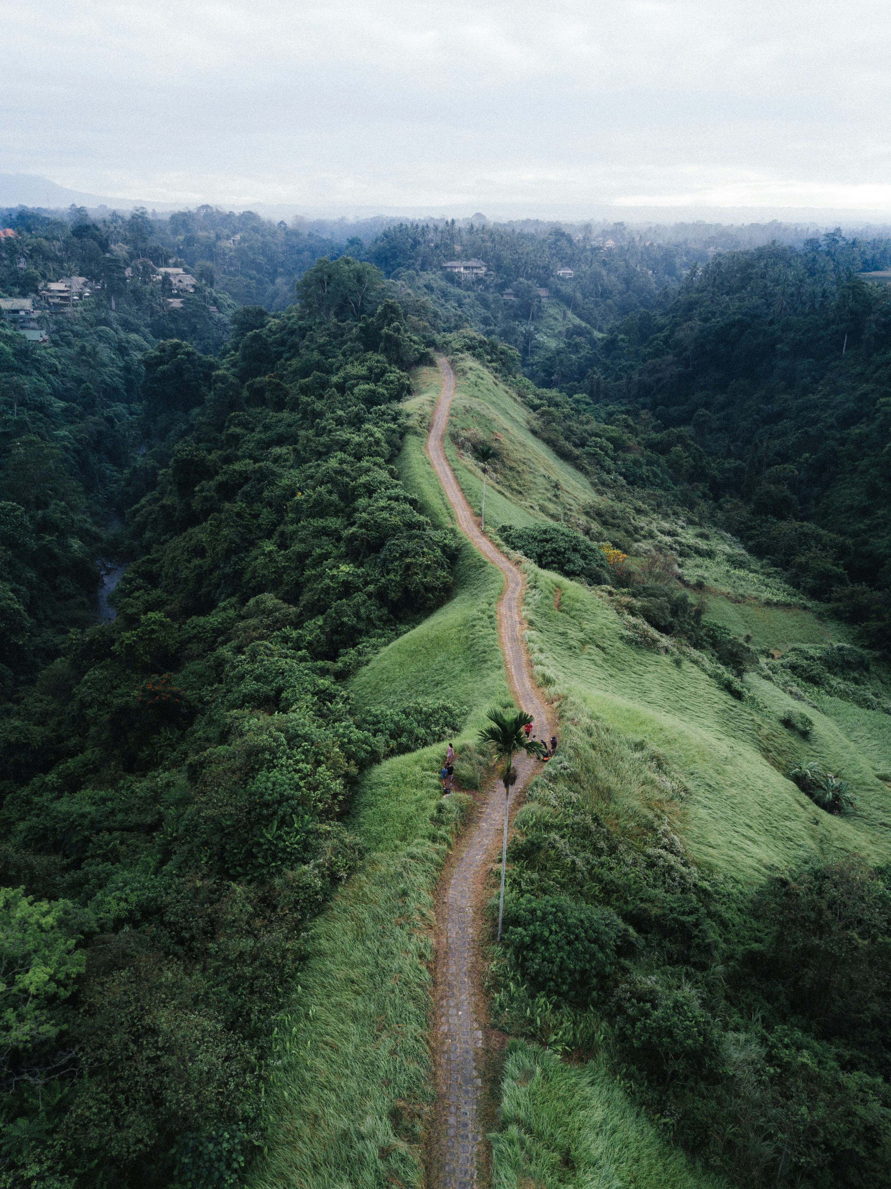 Tropical Ridge Hiking Trail