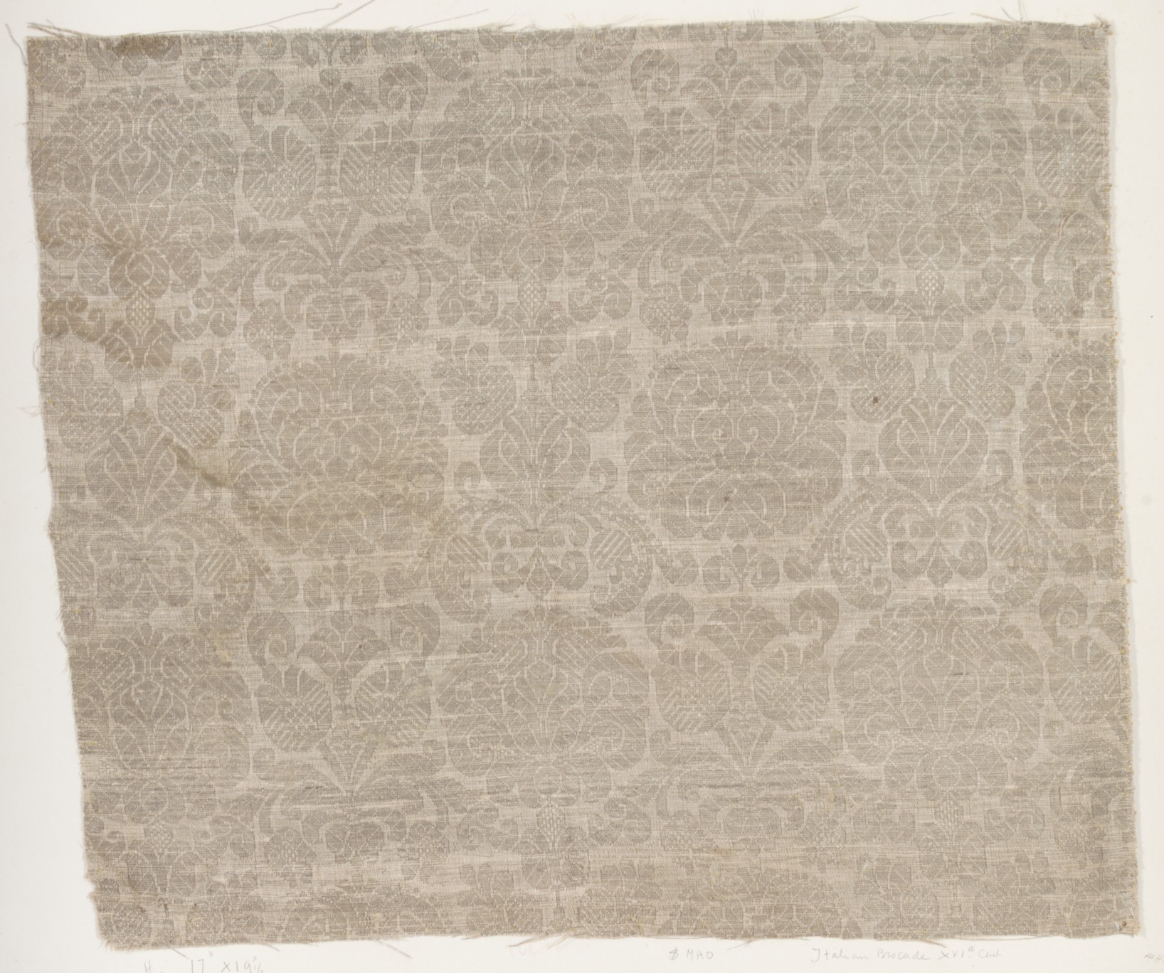 16th Century Italian Brocade Fragment