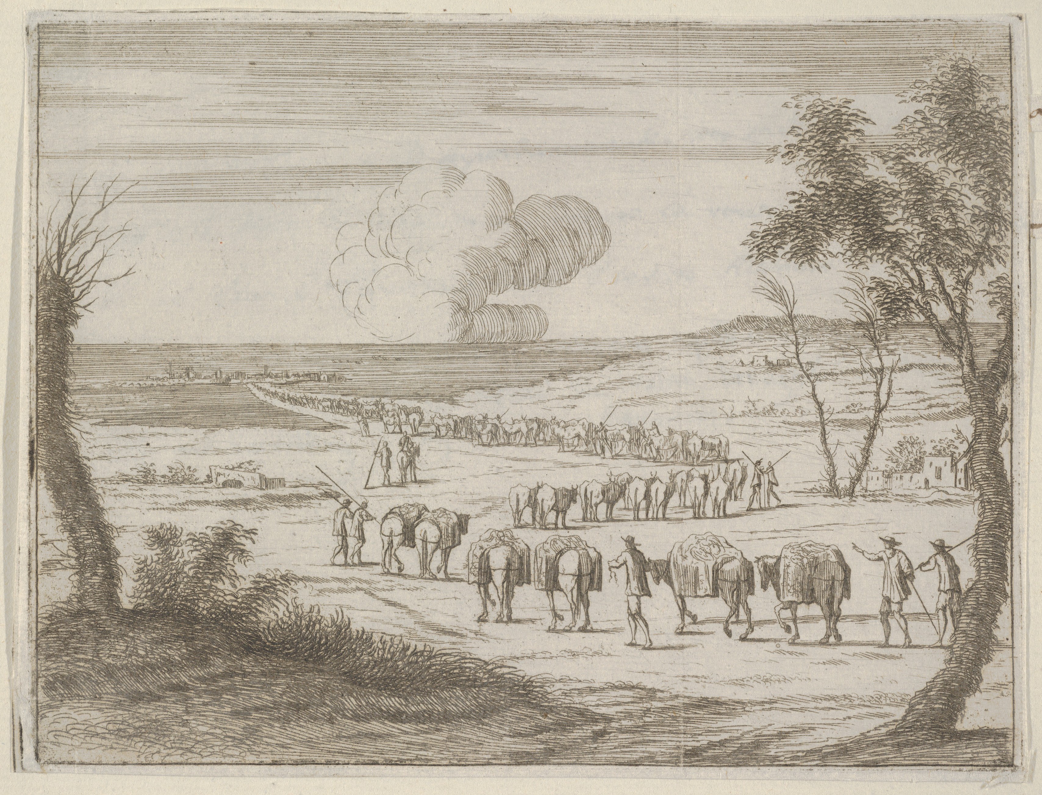 Caravan of Pack Mules in Landscape