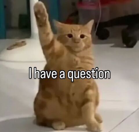 Orange Cat Asking Question Meme
