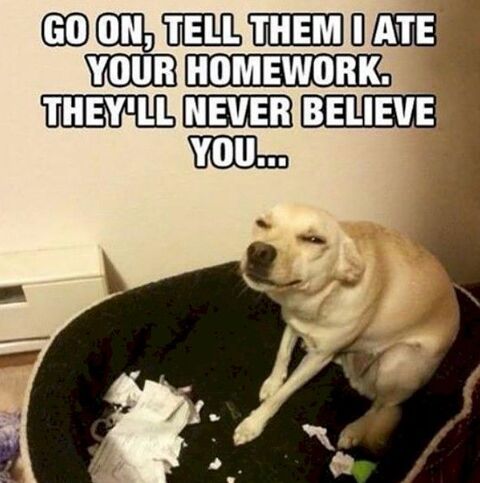 Smug Dog Ate Homework Meme