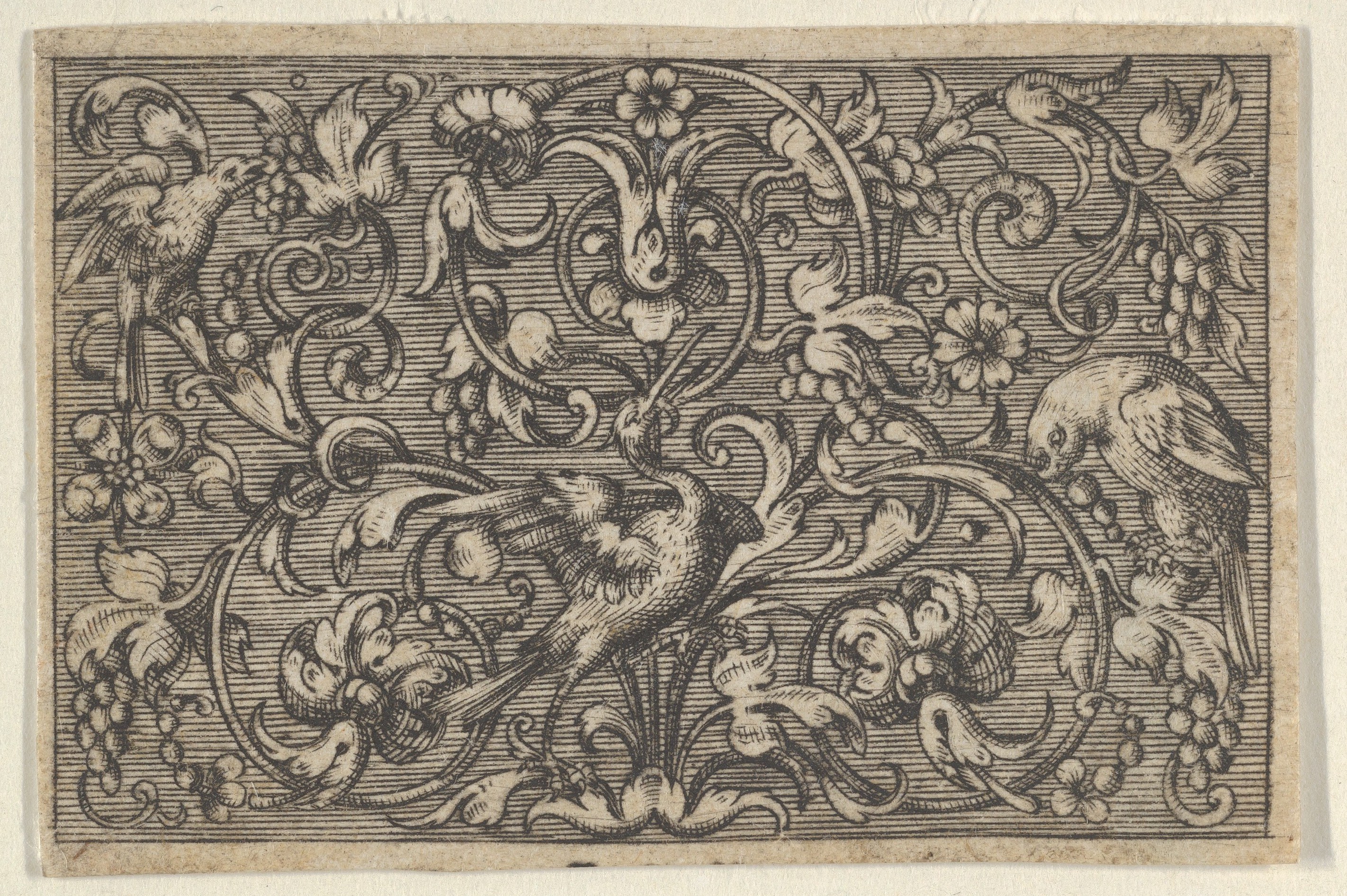 Ornate Birds and Scrollwork Engraving