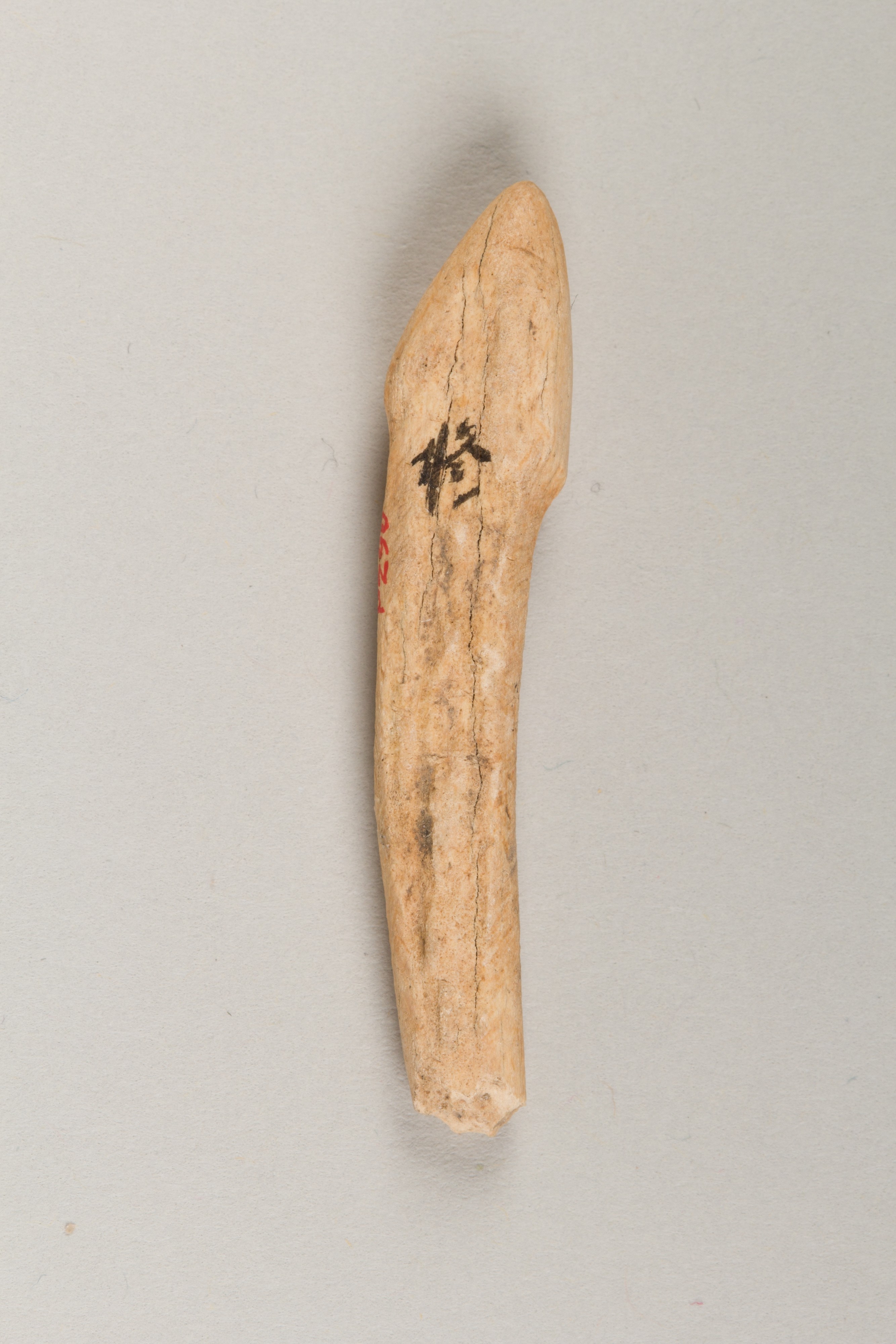 Ancient Bone Arrowhead Artifact